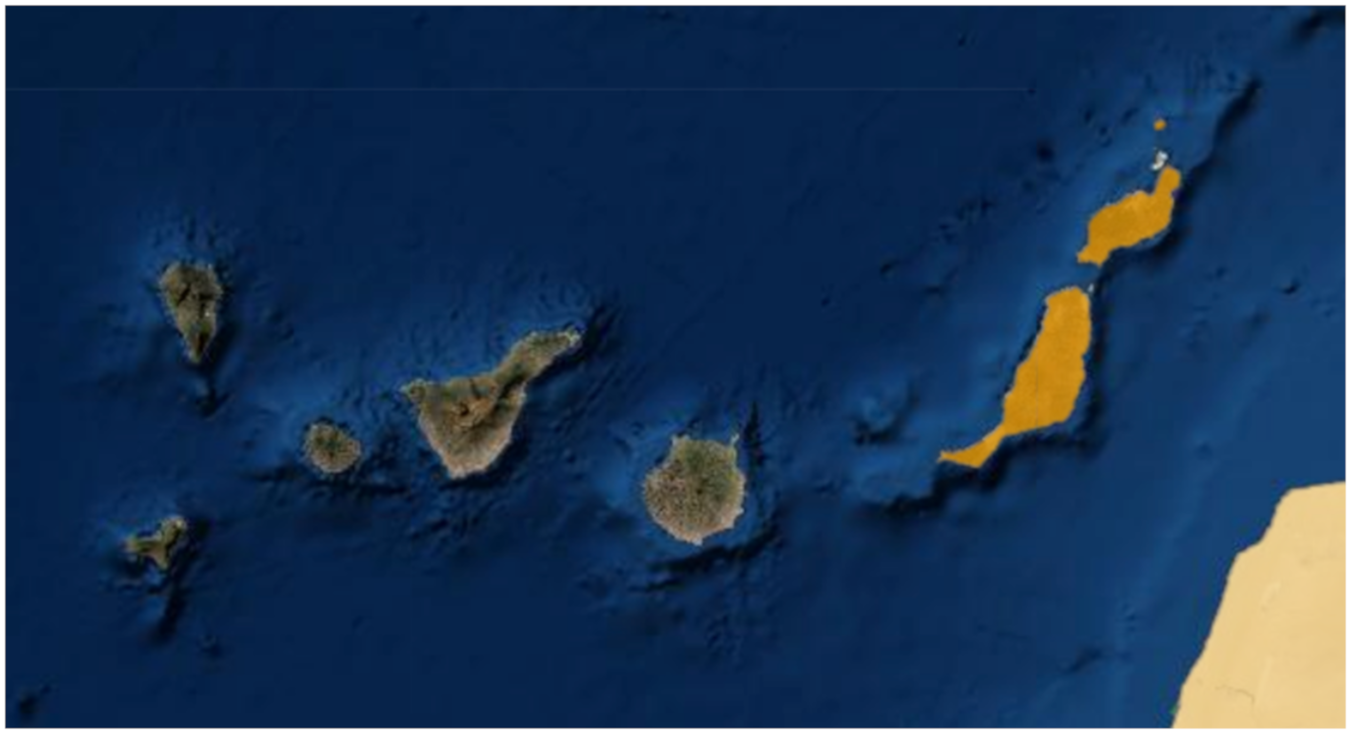 Animals 10 00970 g001