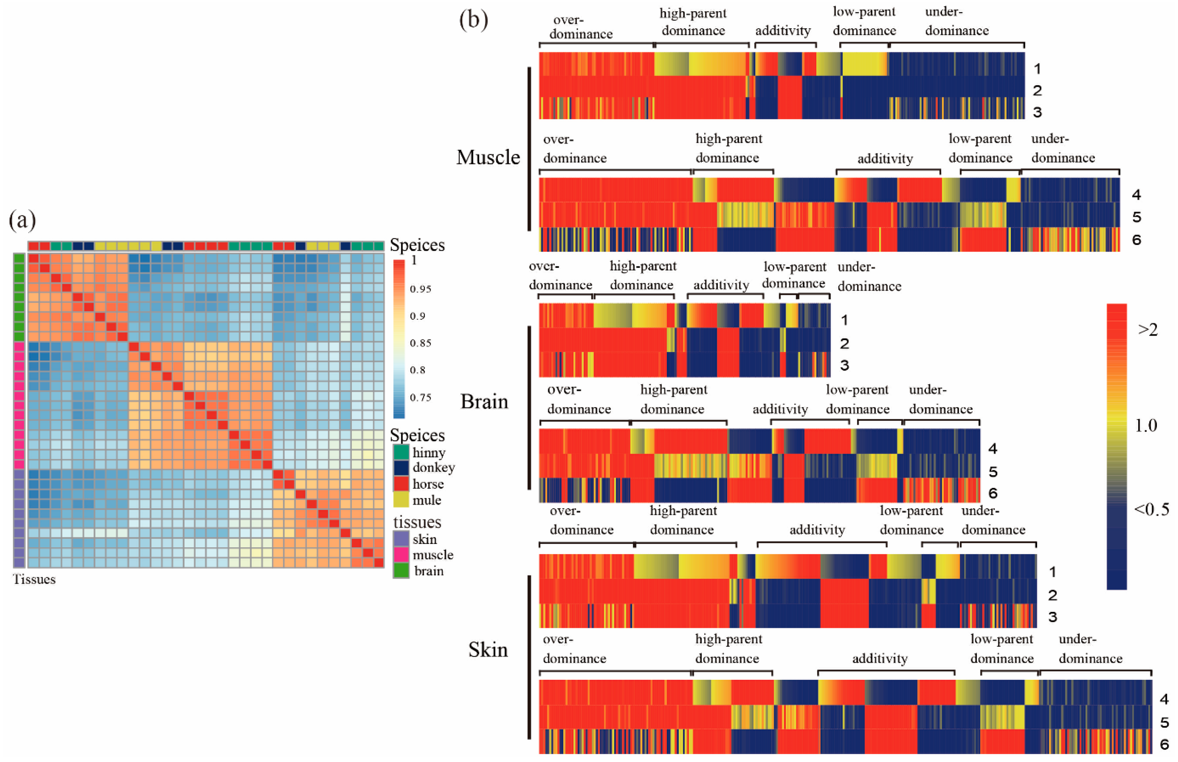 Animals 10 00980 g001 Animals 10 00980 g001