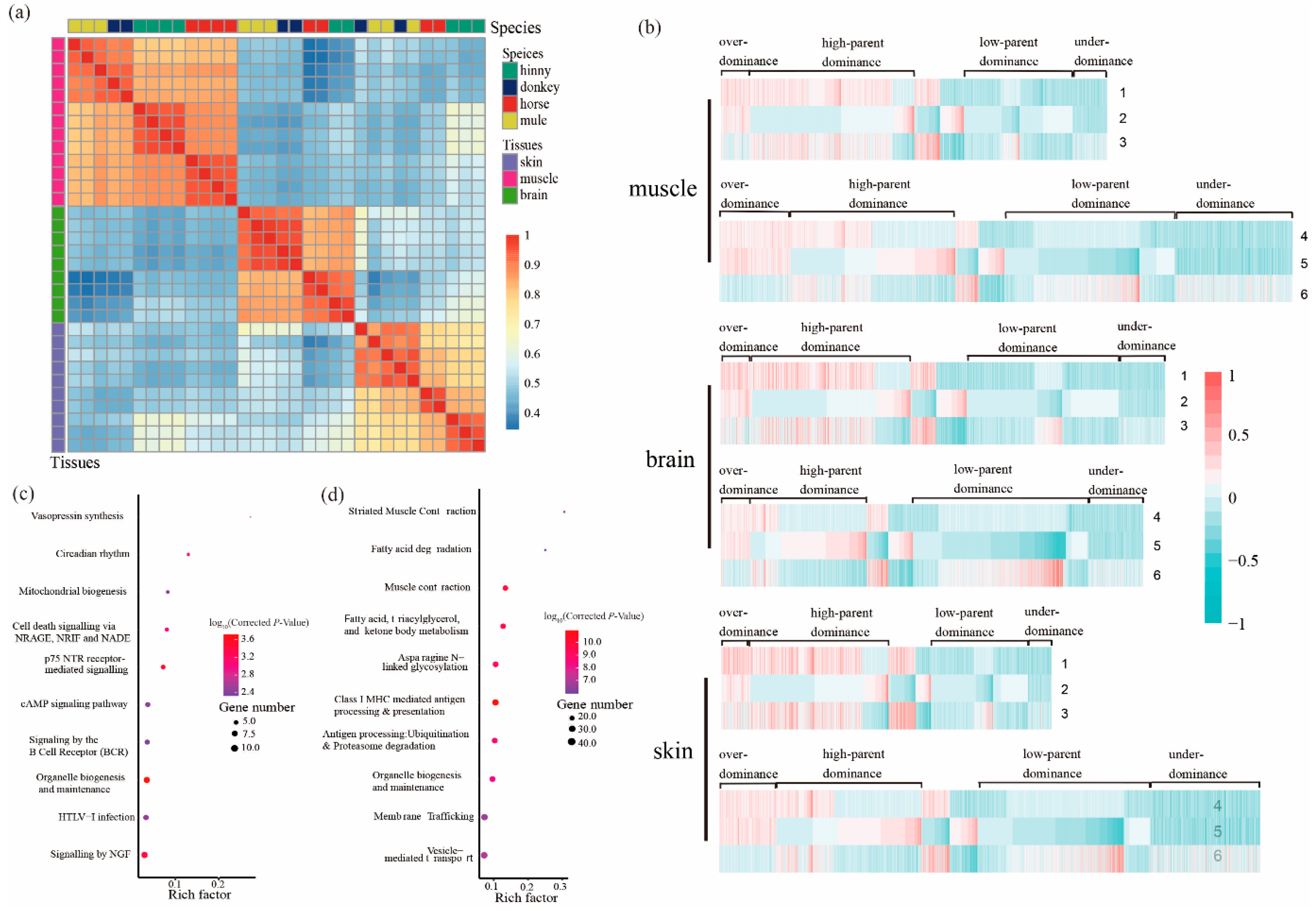 Animals 10 00980 g002 Animals 10 00980 g002