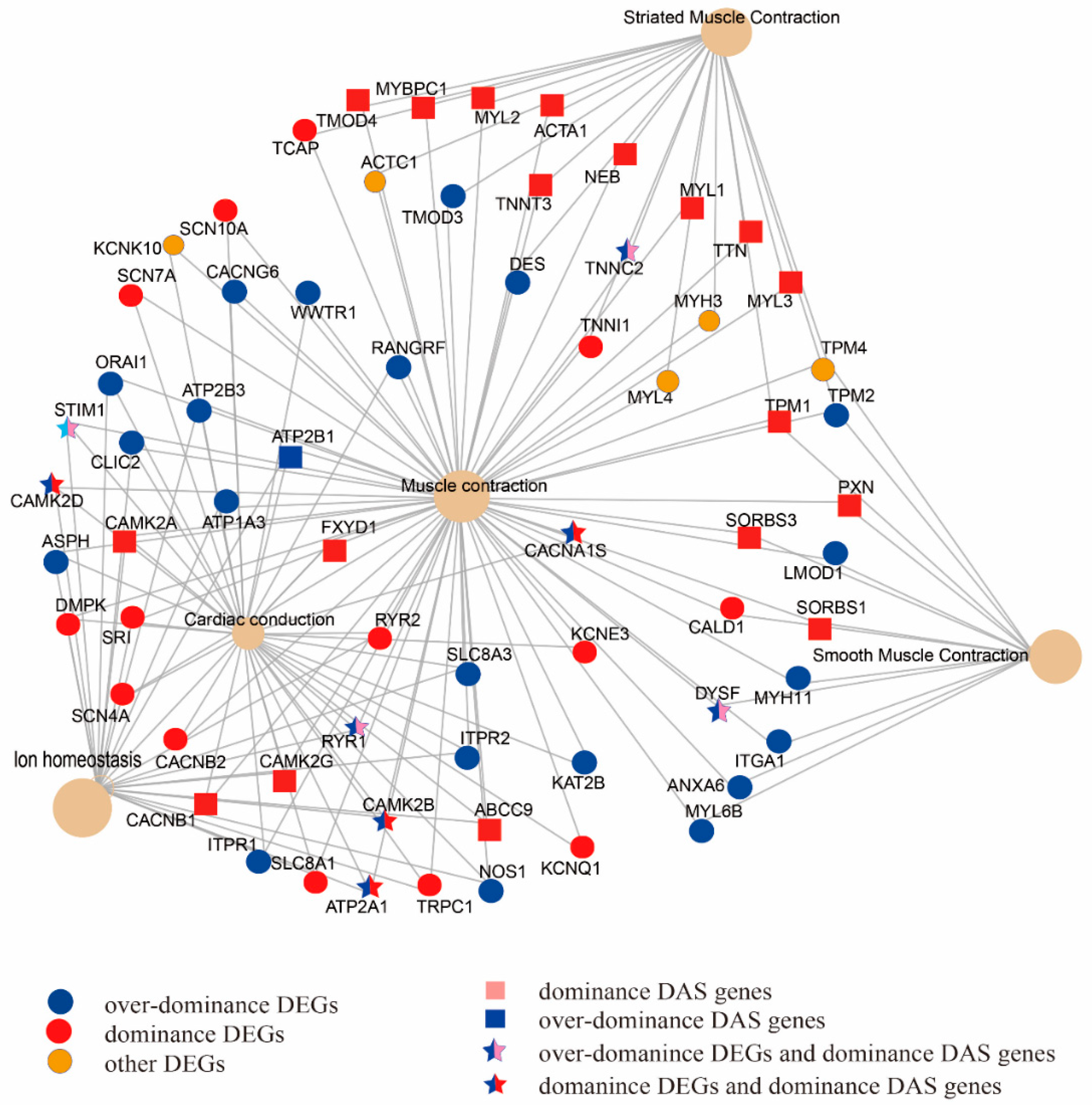 Animals 10 00980 g003 Animals 10 00980 g003