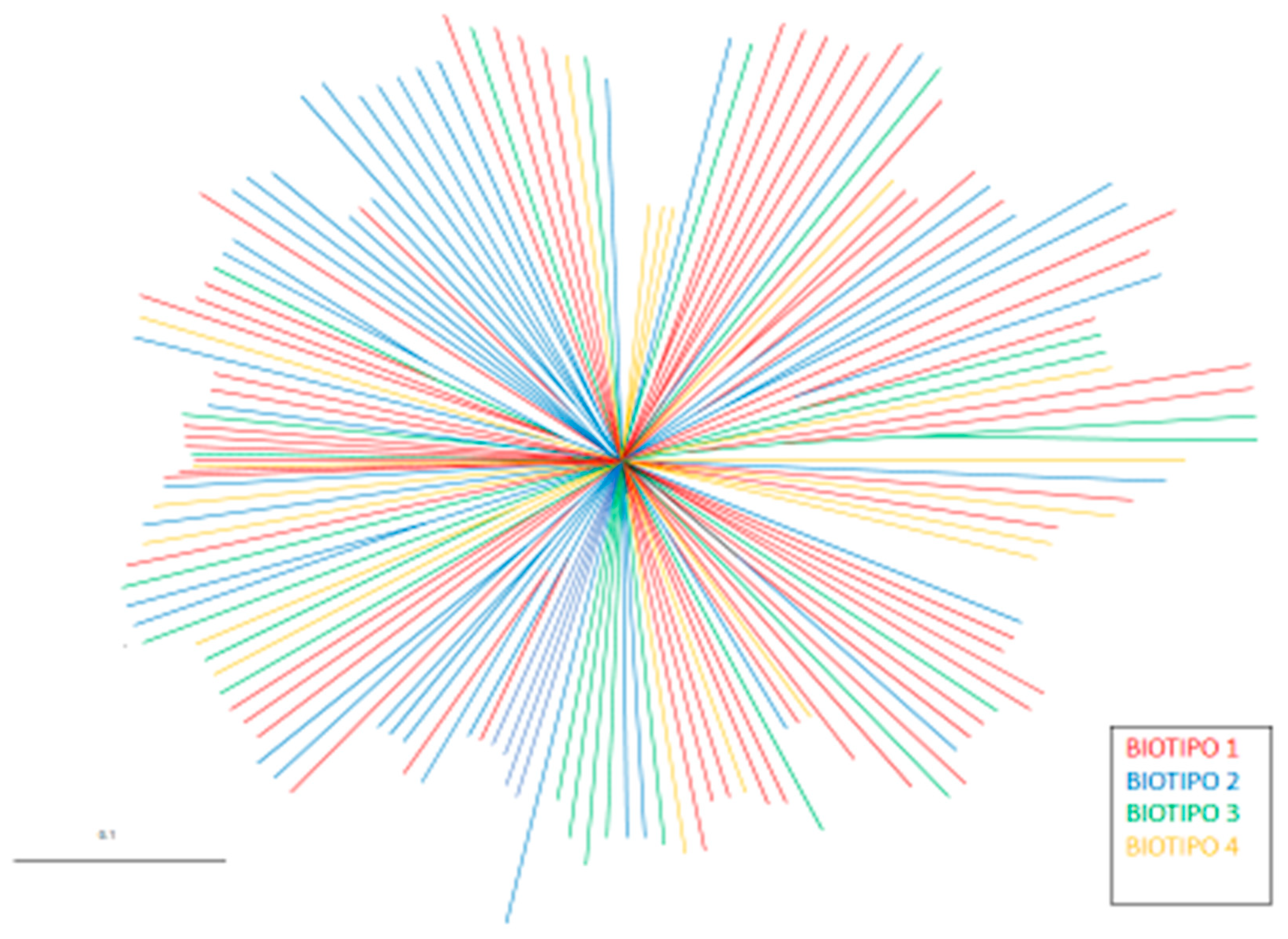 Animals 10 01026 g001