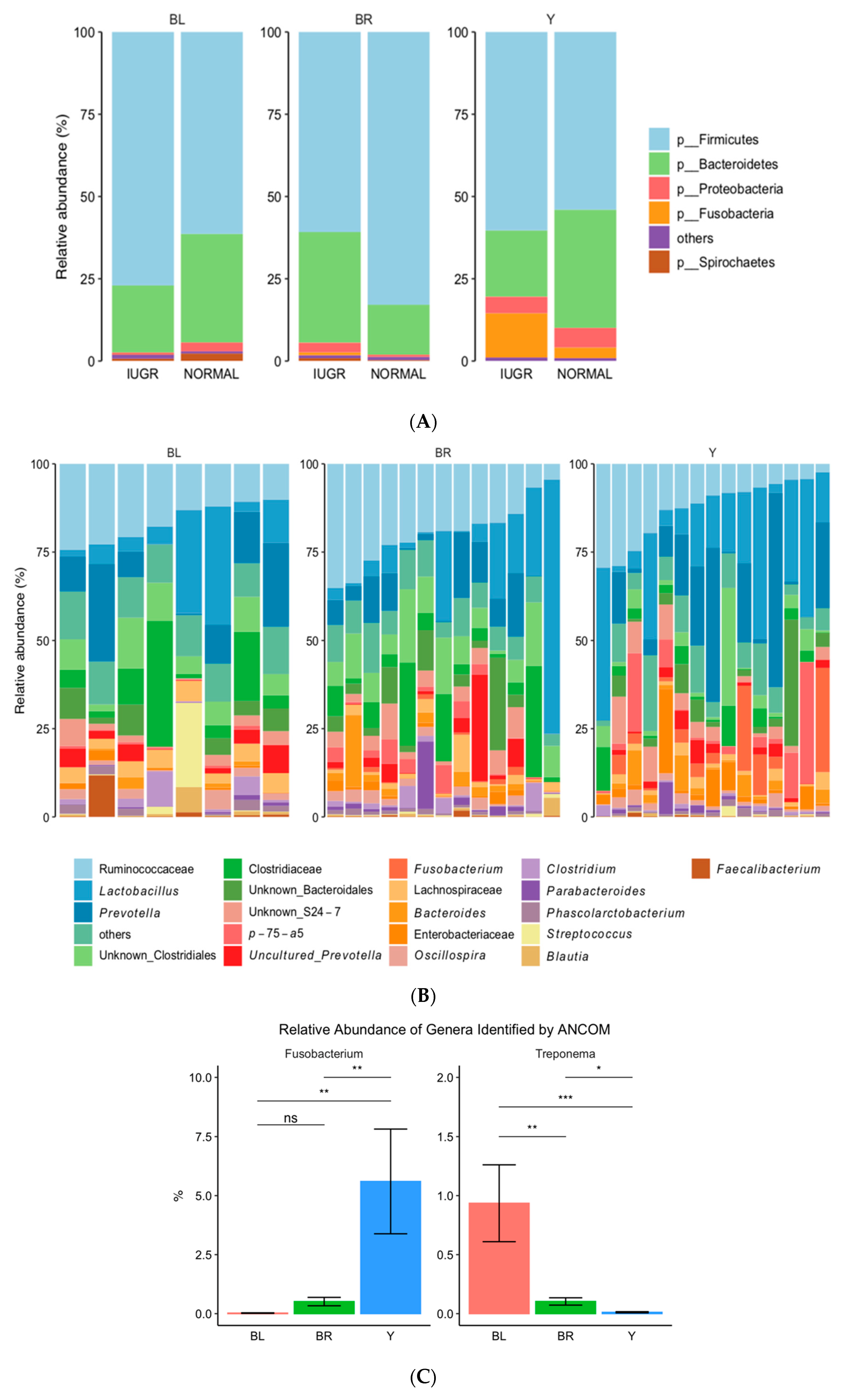 Animals 10 01073 g006 Animals 10 01073 g006