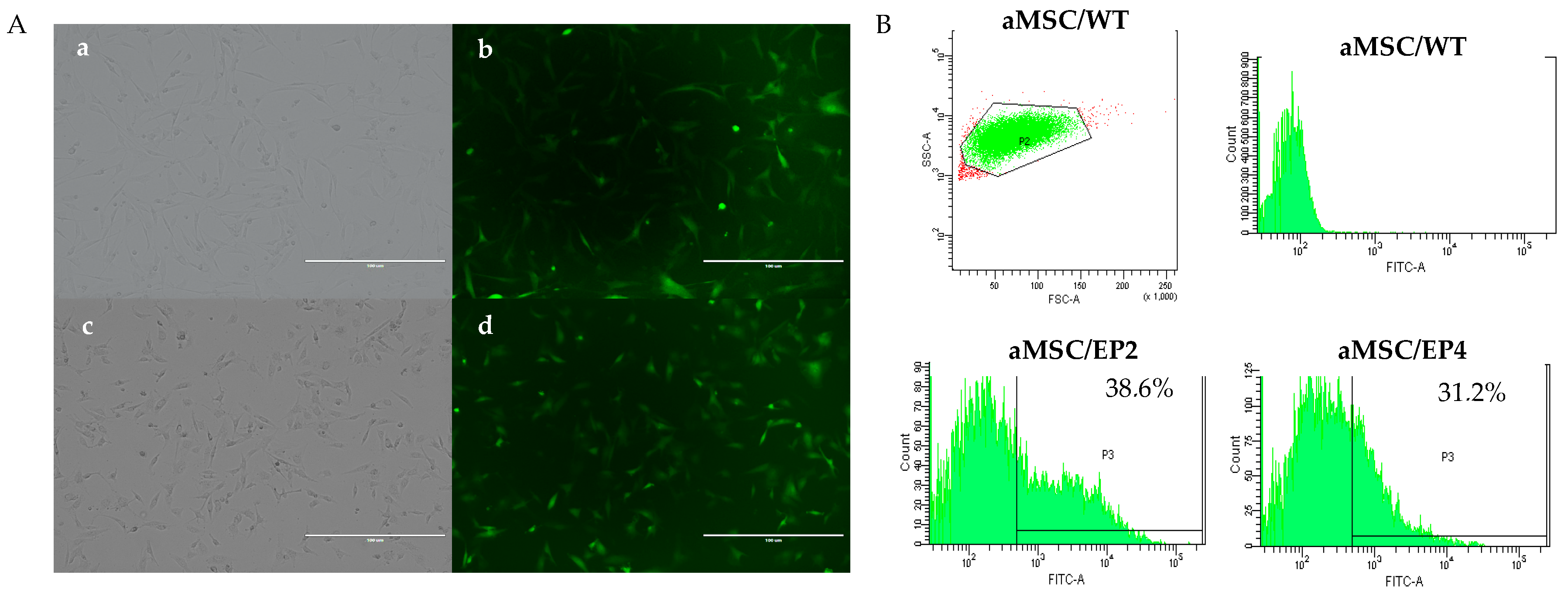 Animals 10 01078 g002 Animals 10 01078 g002