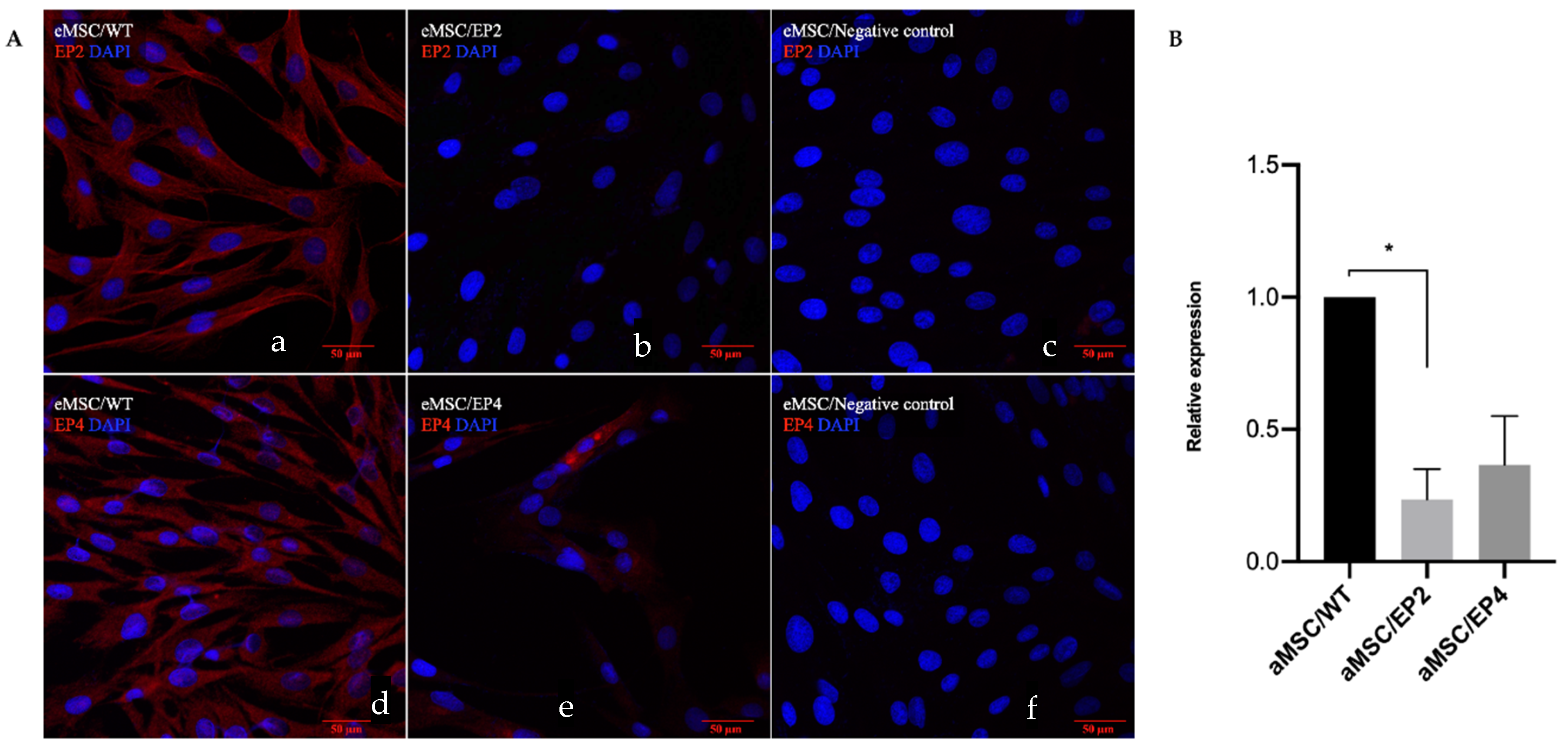 Animals 10 01078 g004 Animals 10 01078 g004