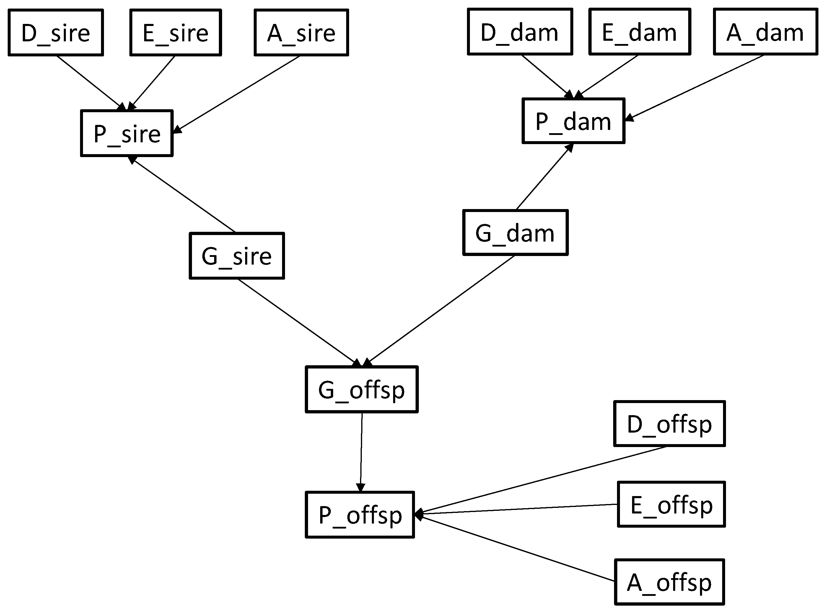 Animals 10 01104 g001