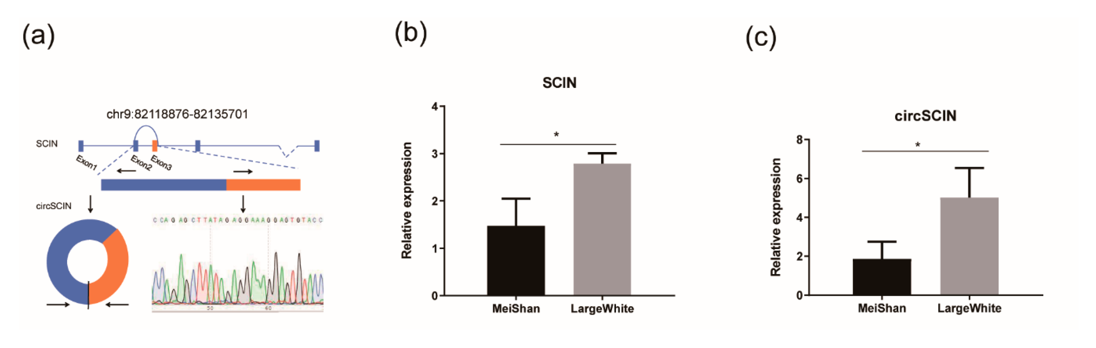 Animals 10 01114 g003 Animals 10 01114 g003