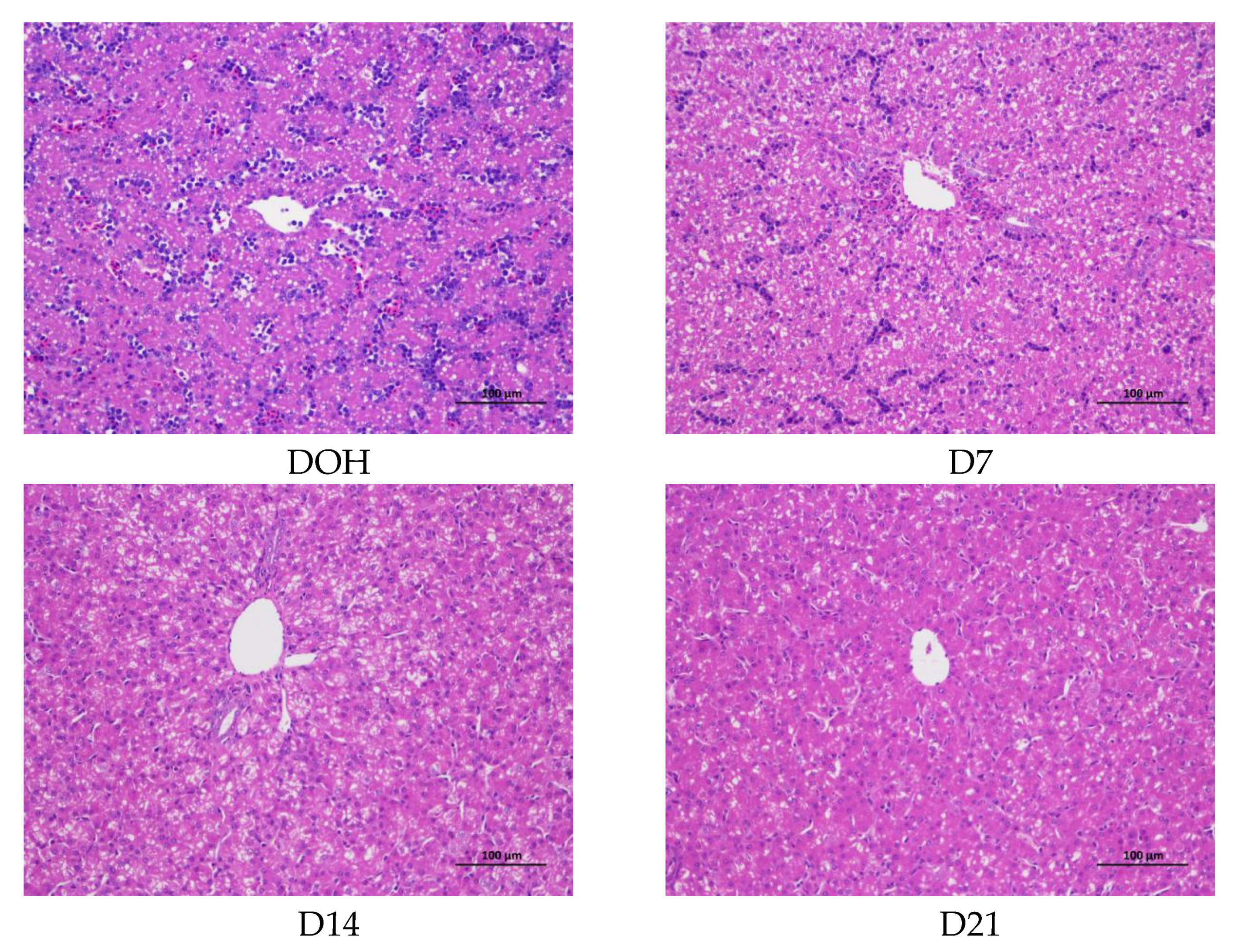 Animals 10 01121 g005 Animals 10 01121 g005