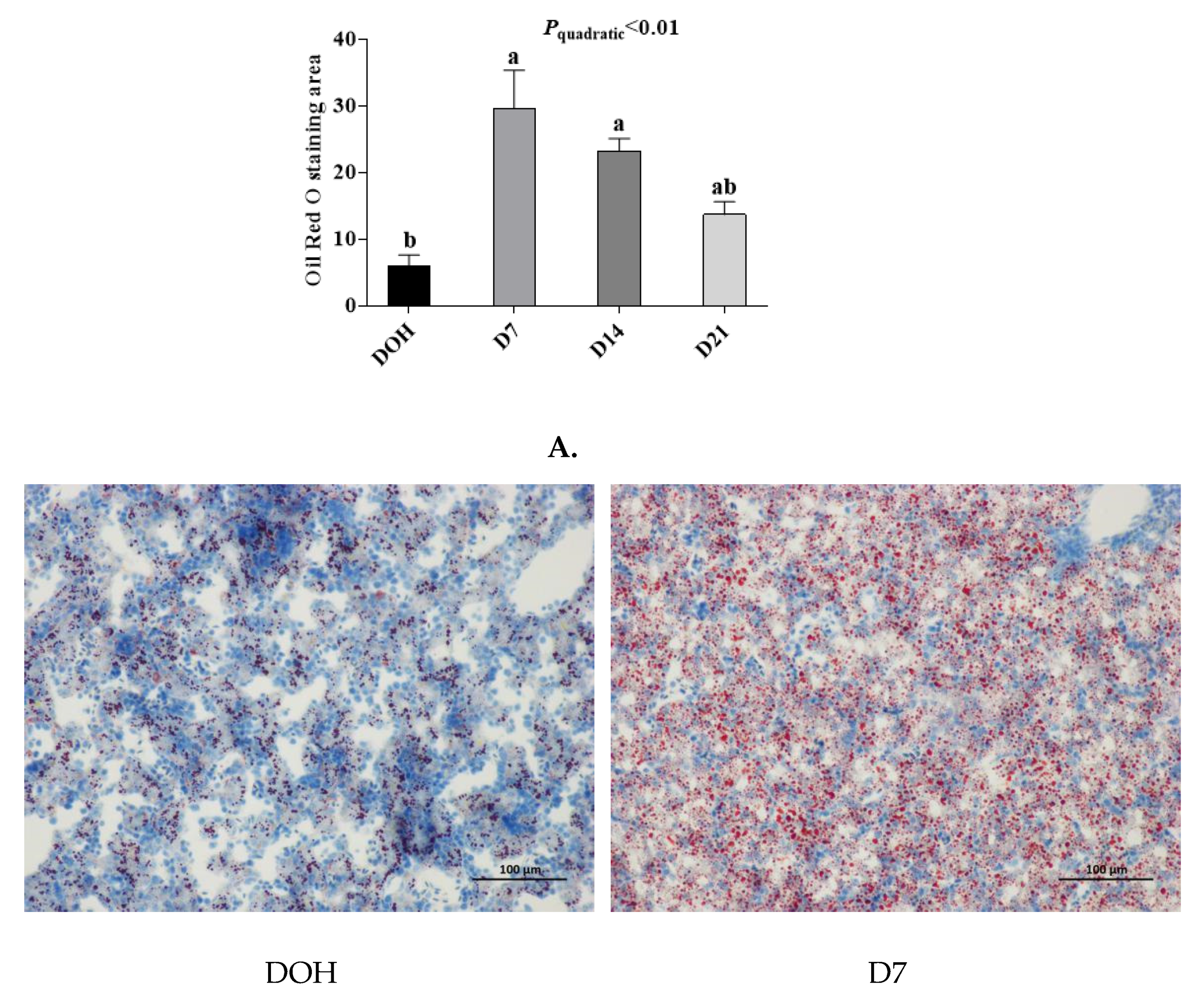 Animals 10 01121 g006a Animals 10 01121 g006a