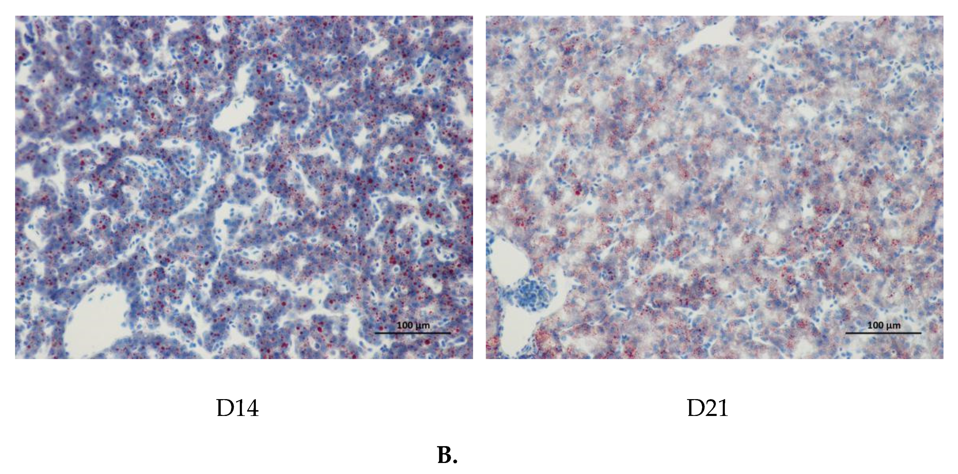 Animals 10 01121 g006b Animals 10 01121 g006b