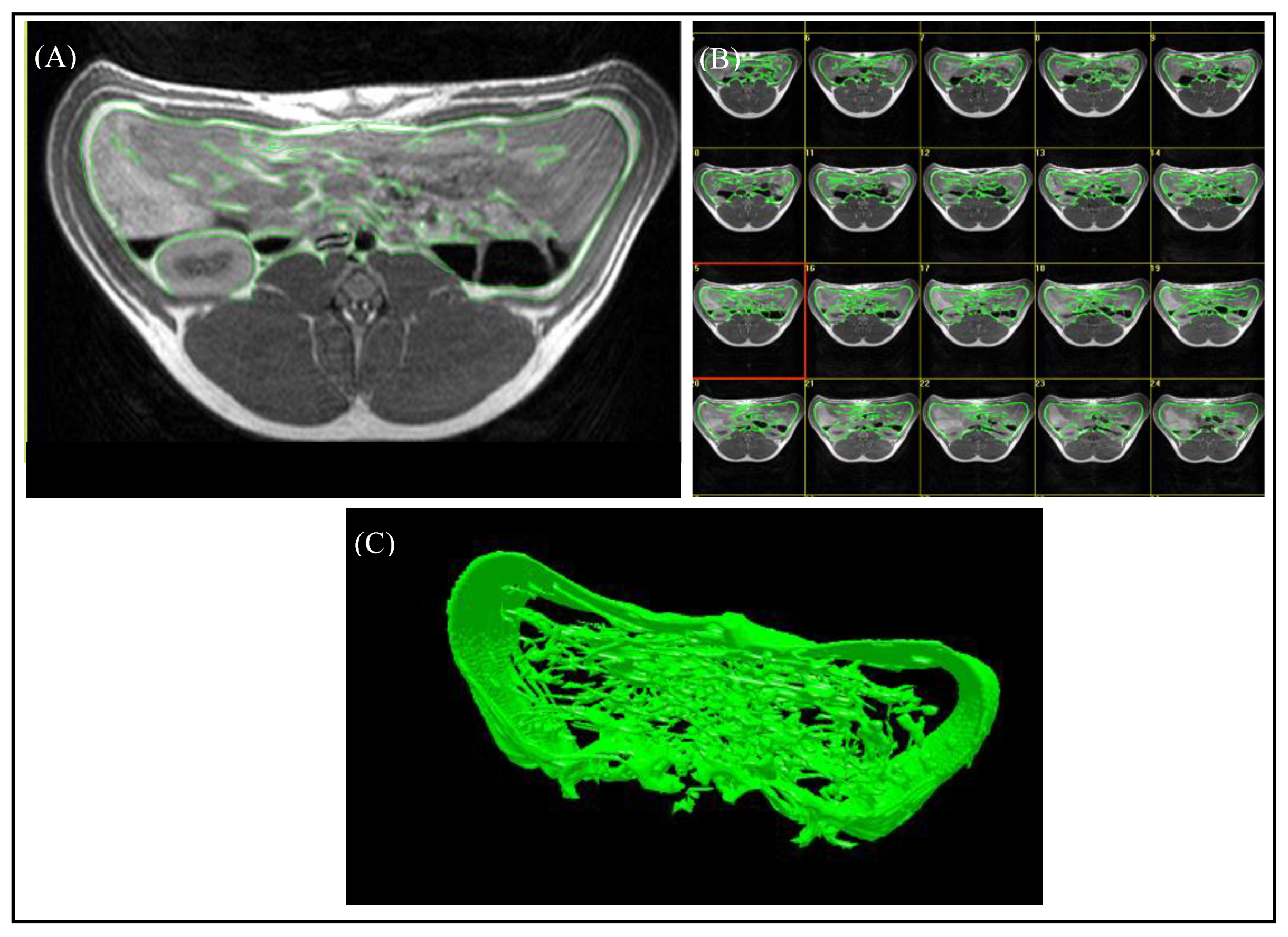 Animals 10 01165 g003