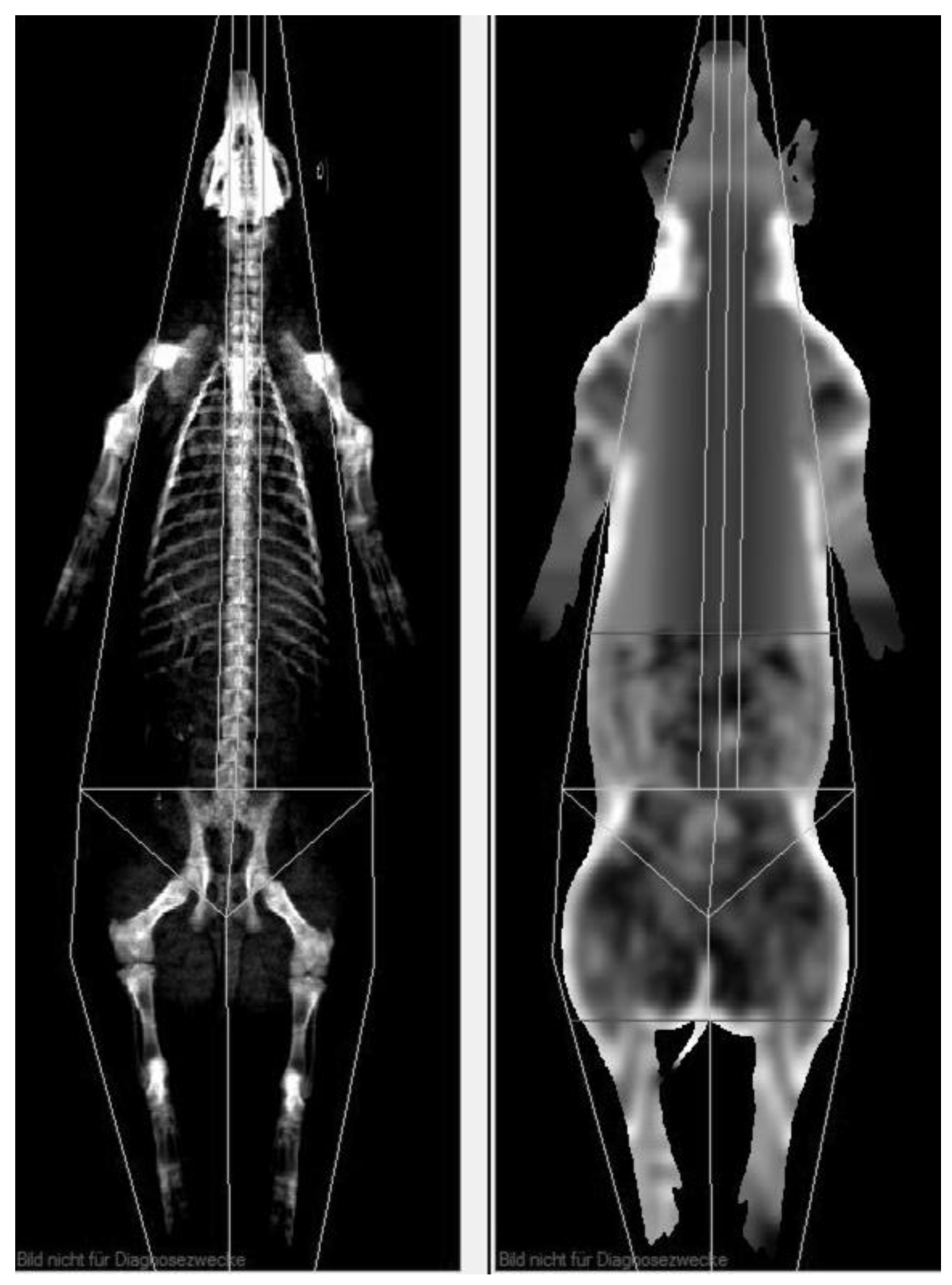 Animals 10 01165 g004