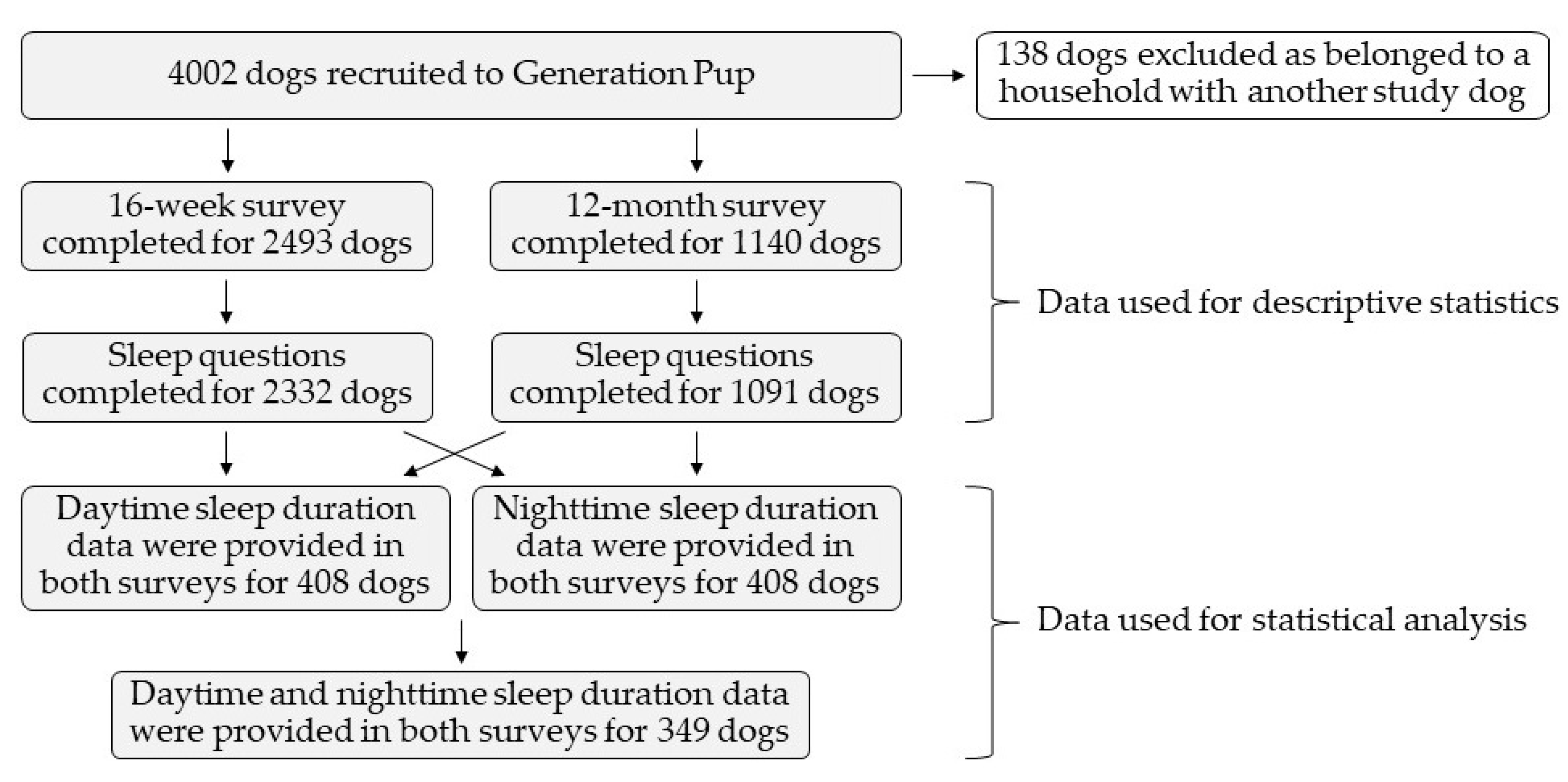 Animals 10 01172 g001