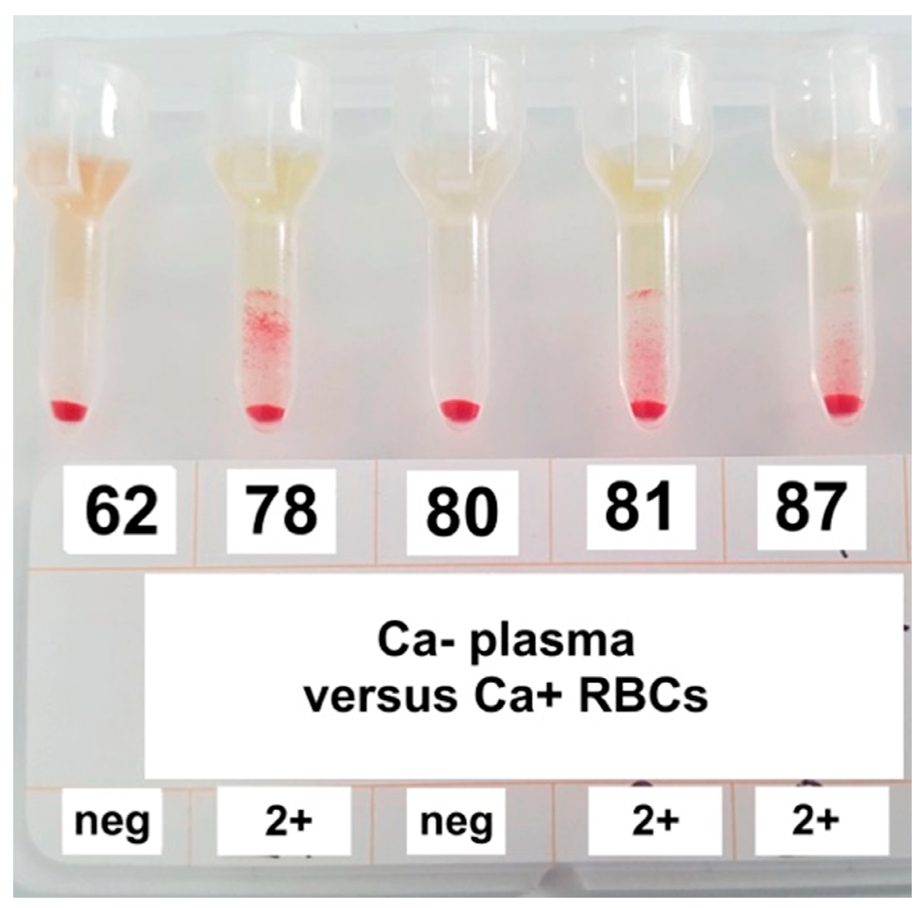 Animals 10 01179 g002