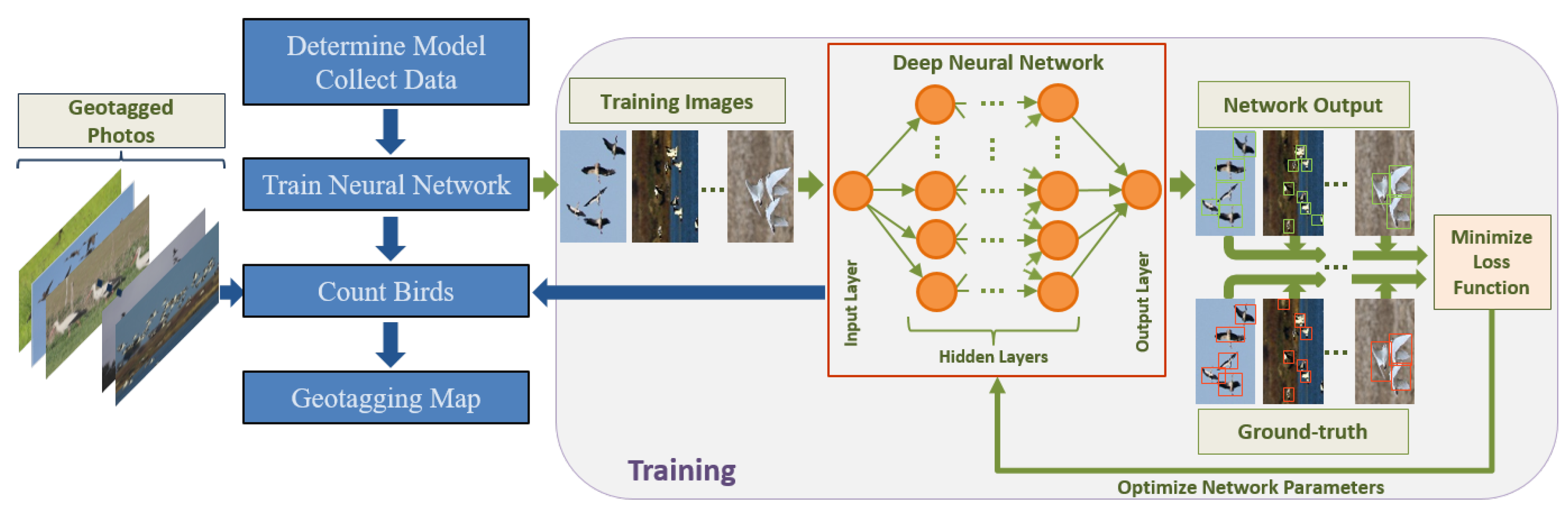 Animals 10 01207 g001