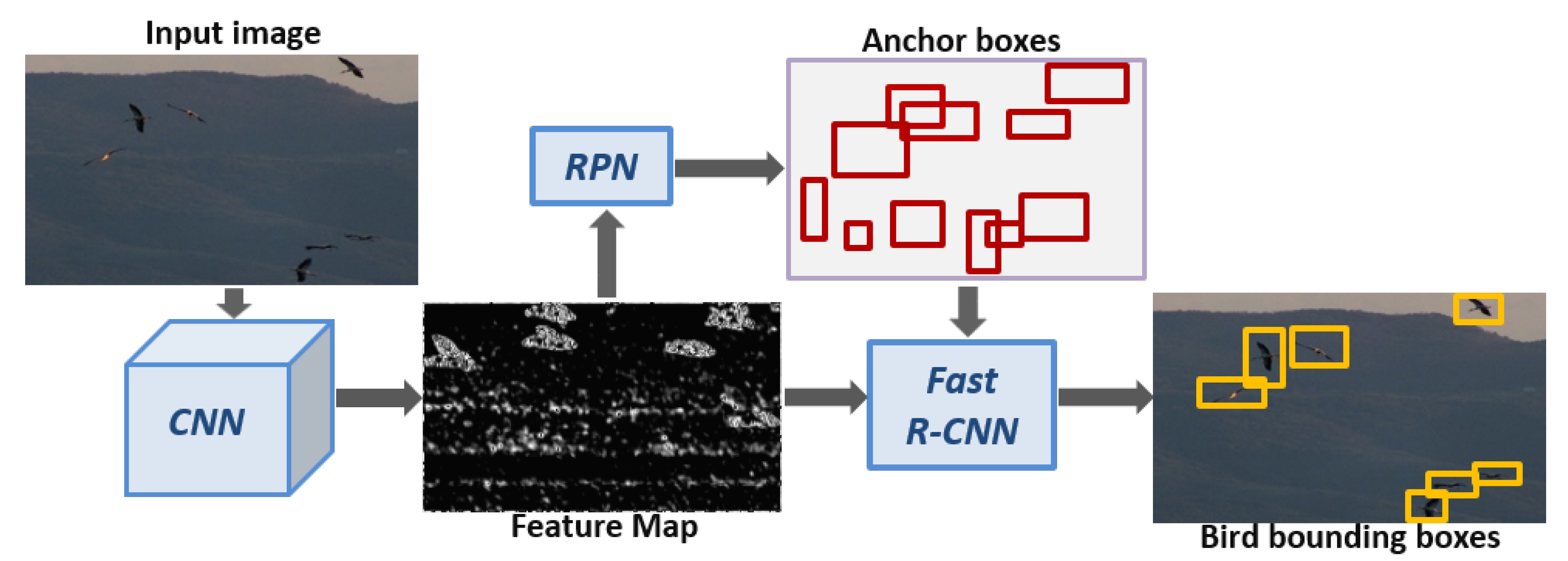 Animals 10 01207 g004