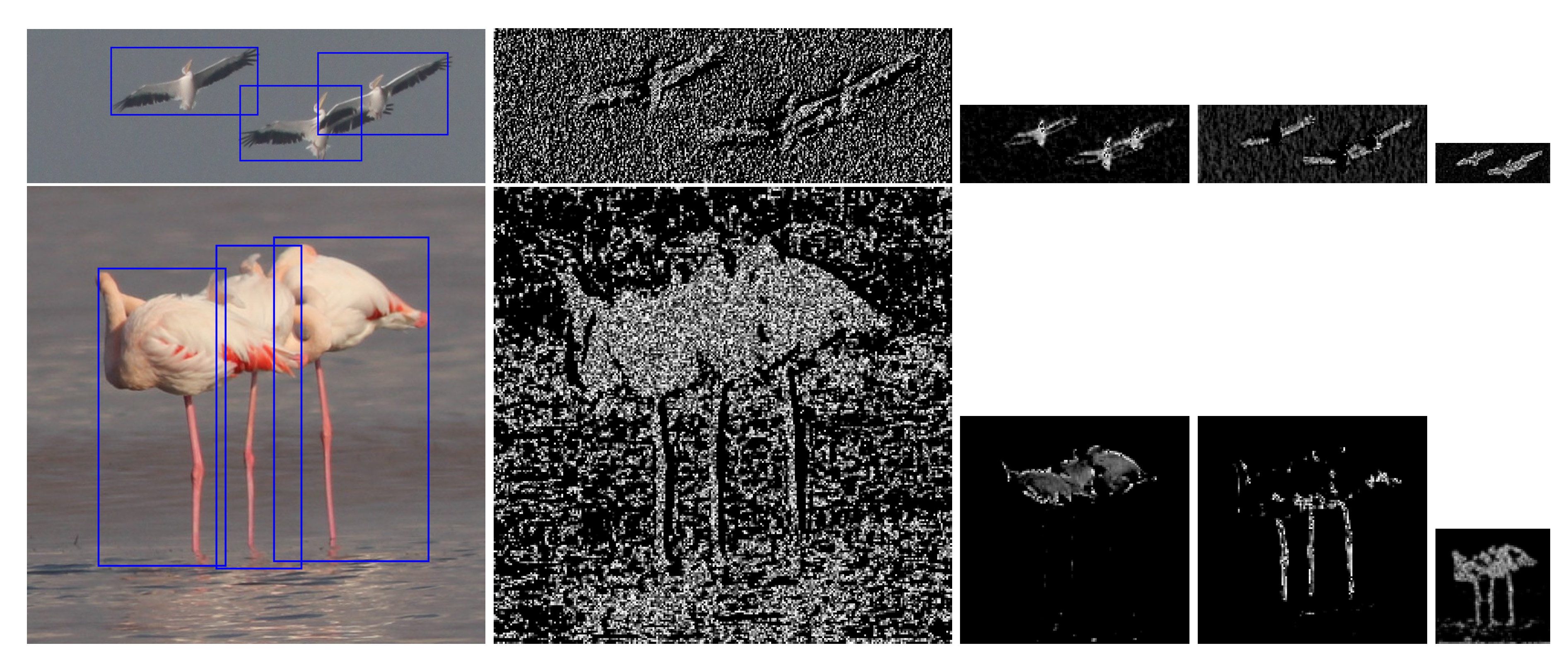 Animals 10 01207 g005