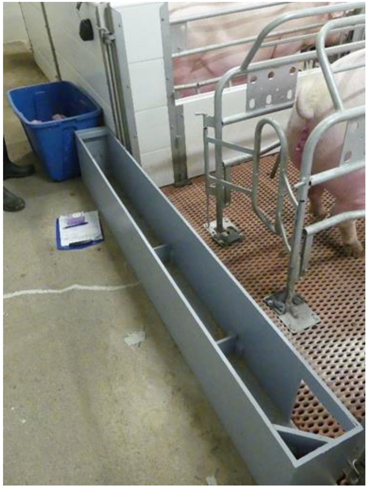 Animals 10 01237 g001 Animals 10 01237 g001