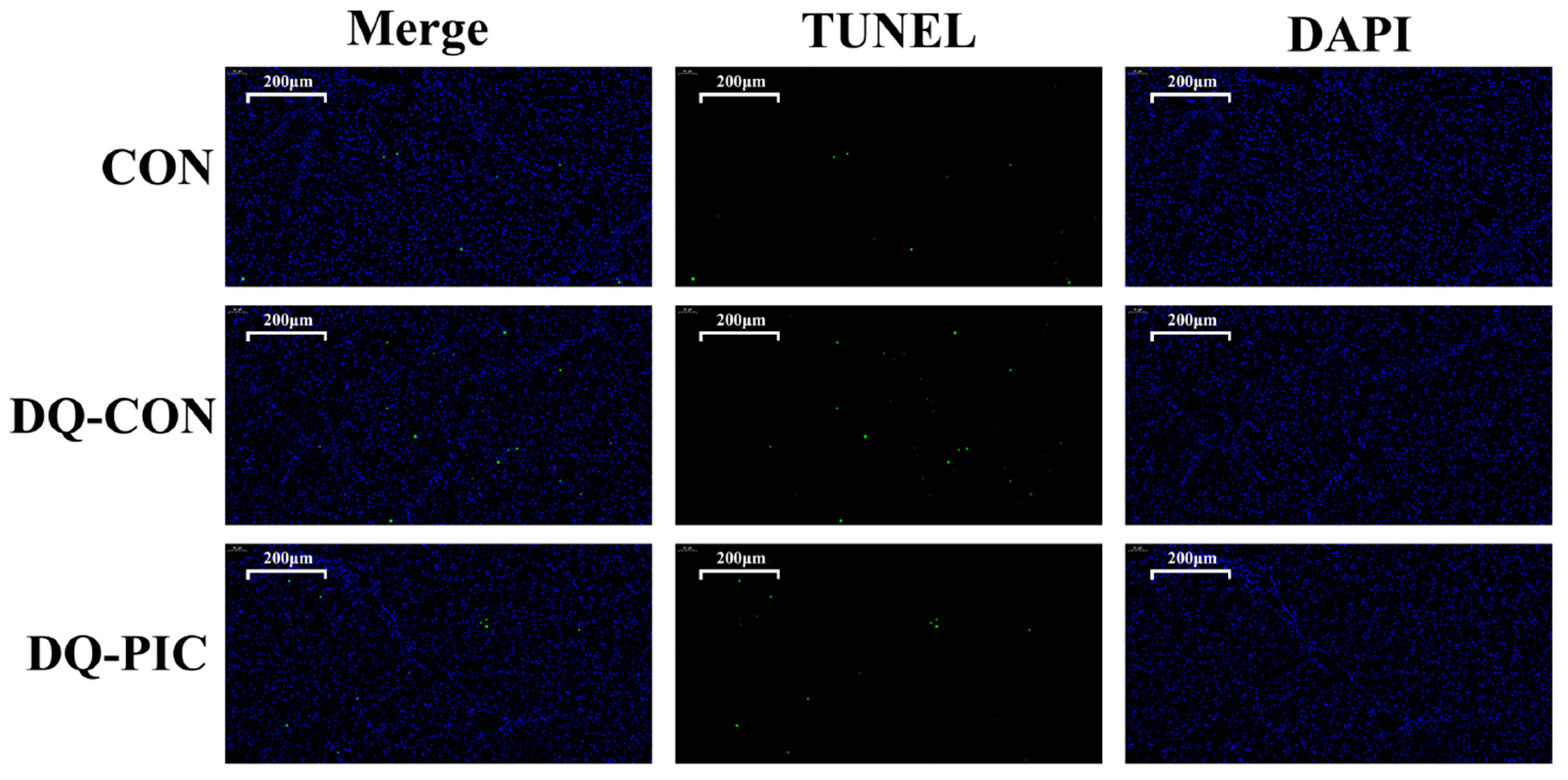 Animals 10 01239 g002 Animals 10 01239 g002