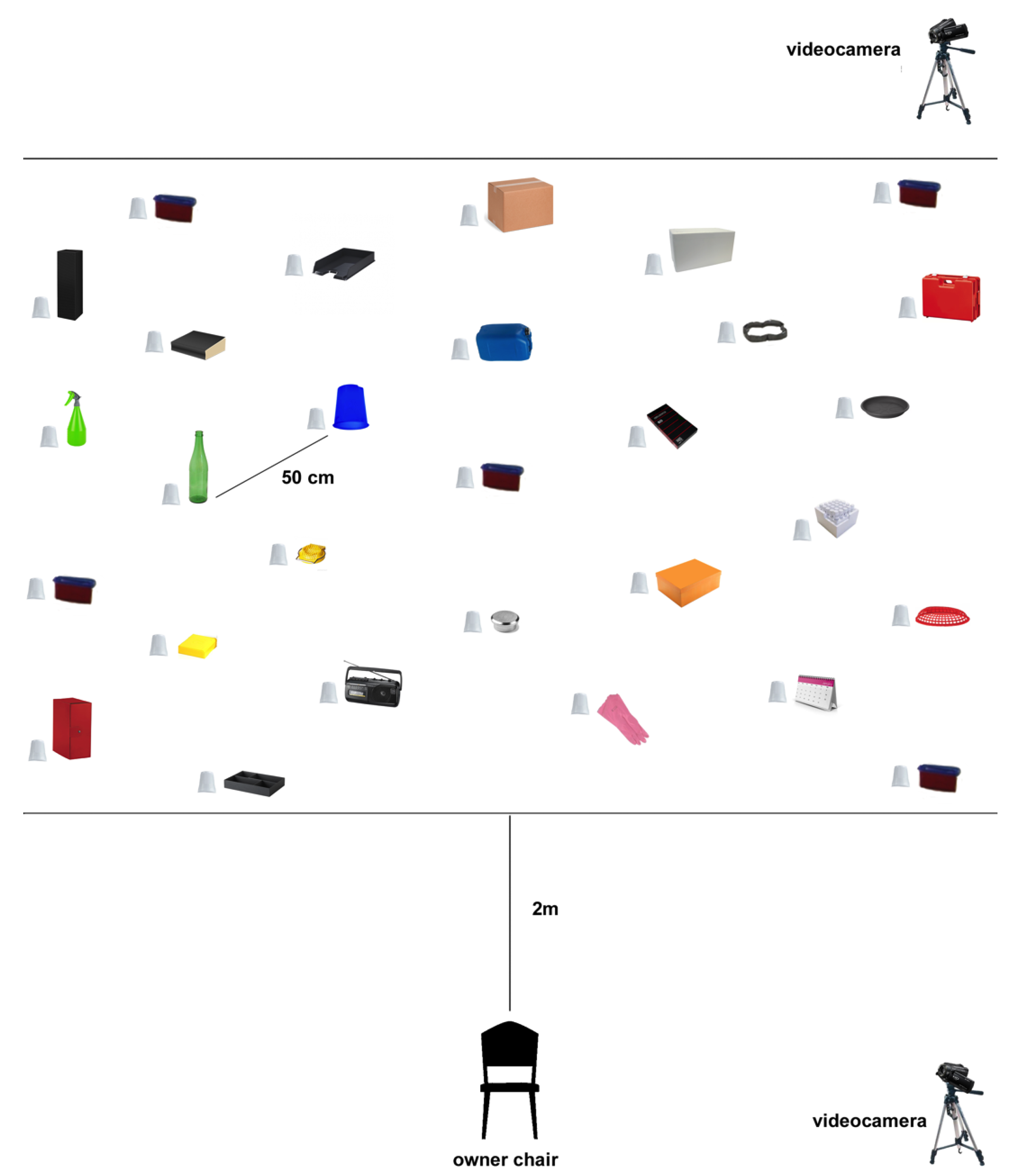 Animals 10 01249 g001