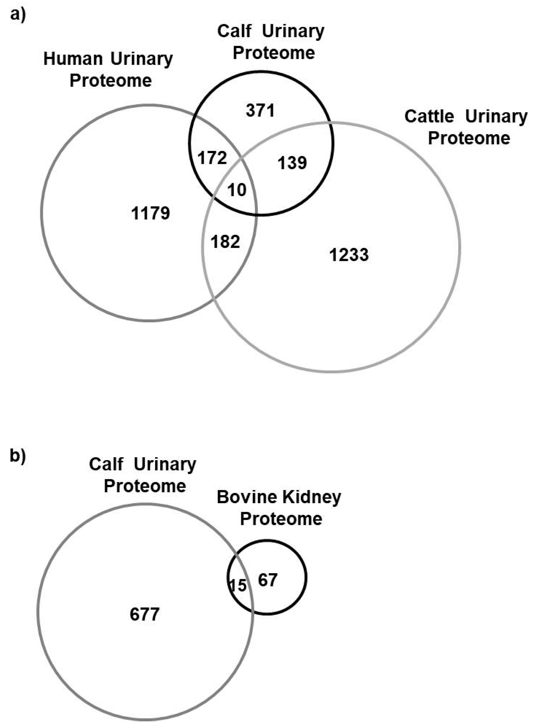Animals 10 01257 g004 Animals 10 01257 g004