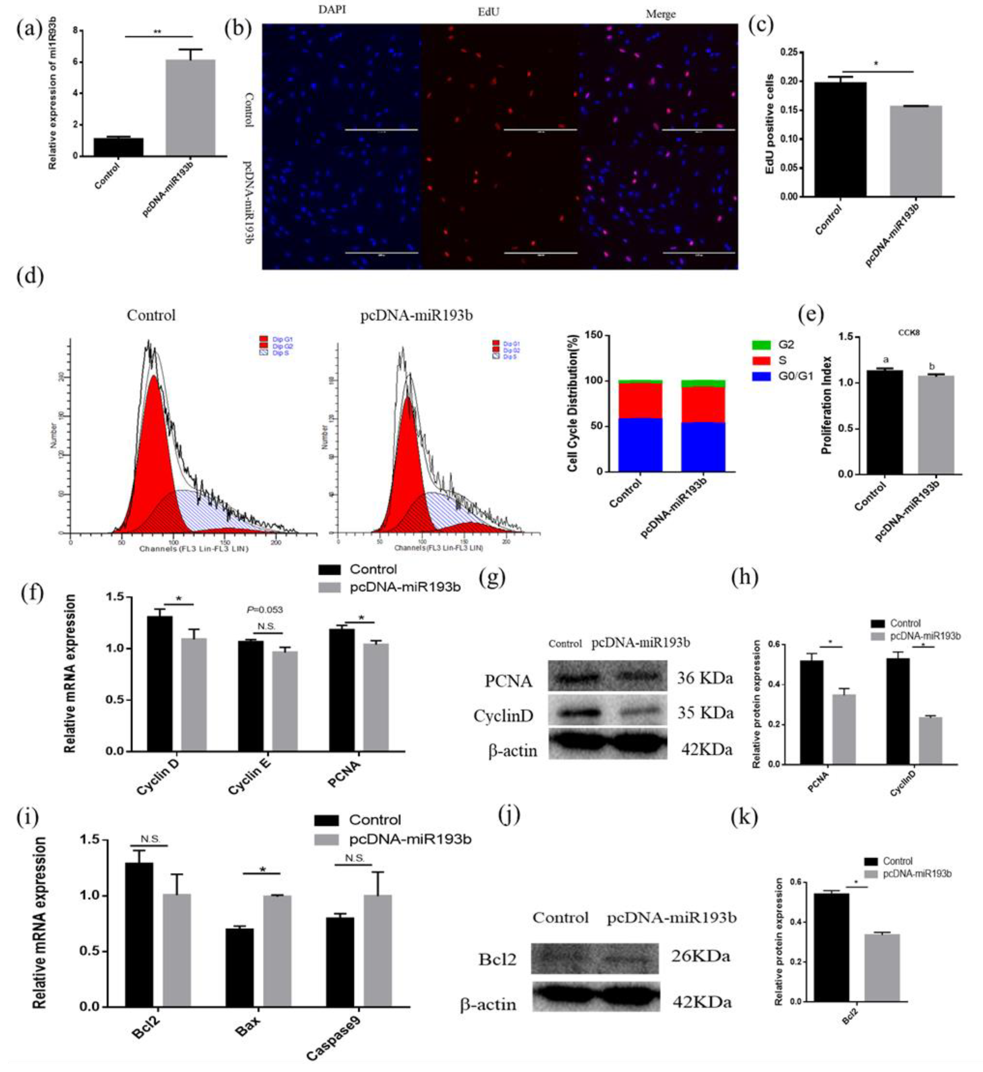 Animals 10 01265 g003