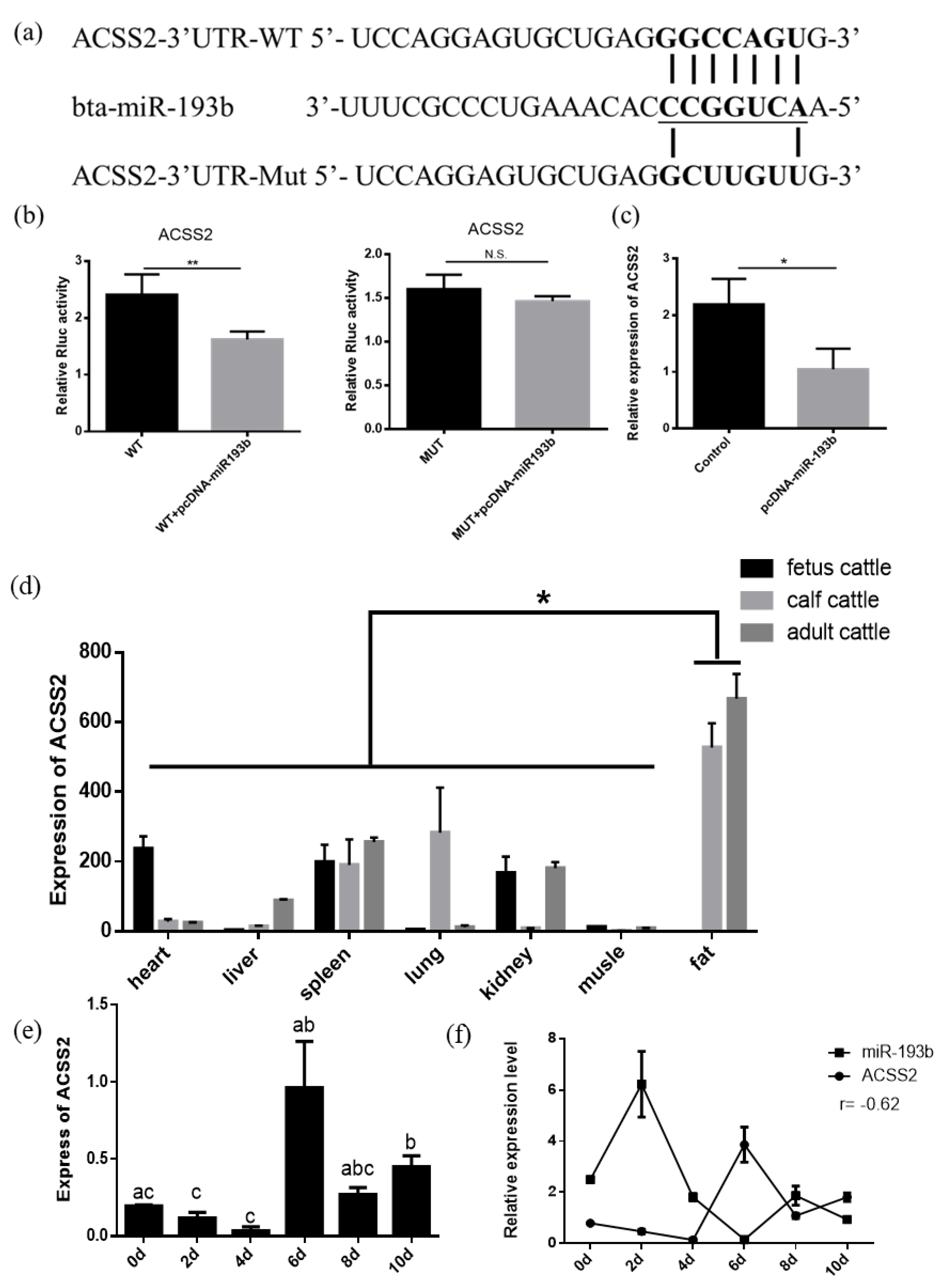 Animals 10 01265 g004