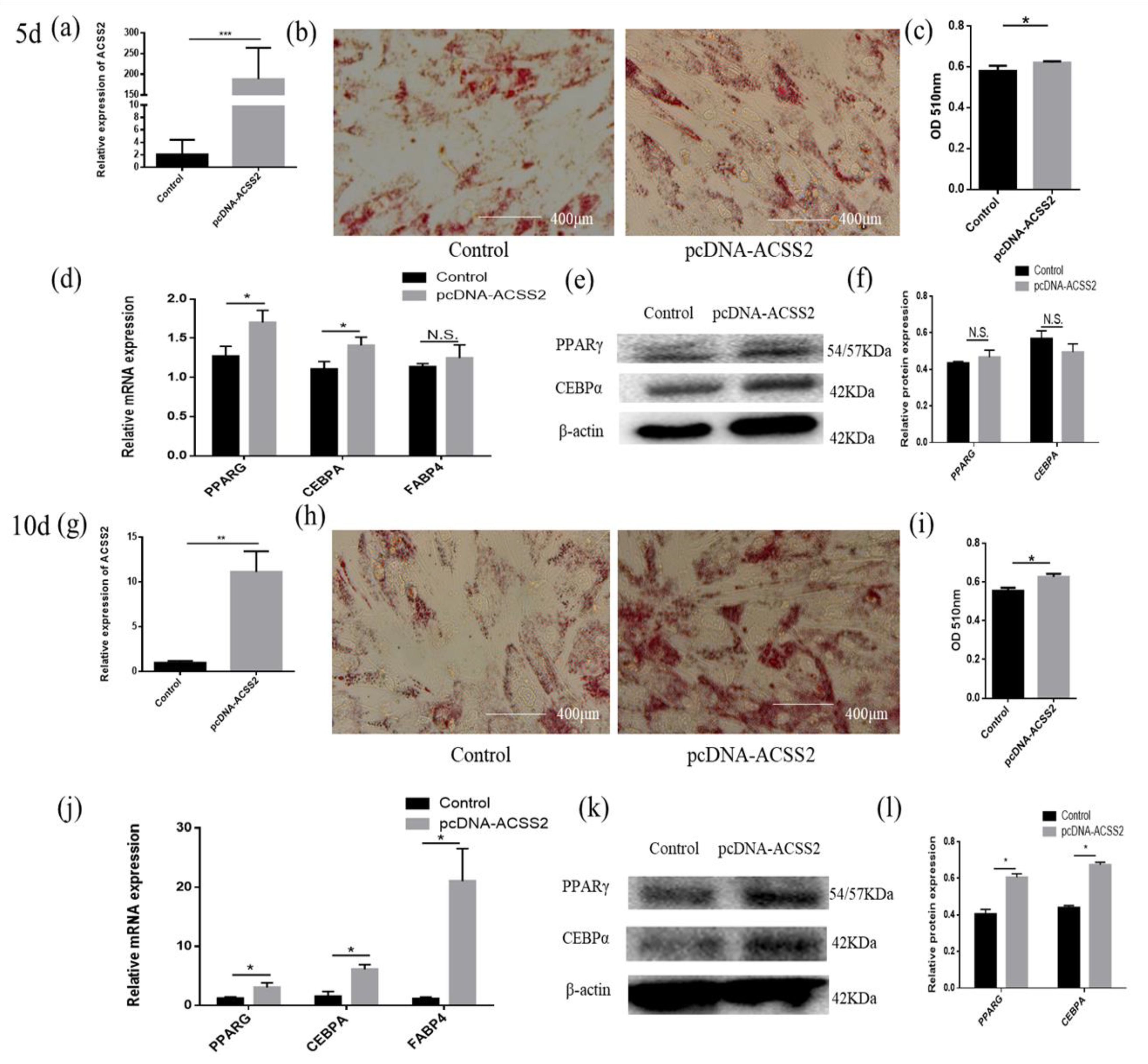 Animals 10 01265 g005