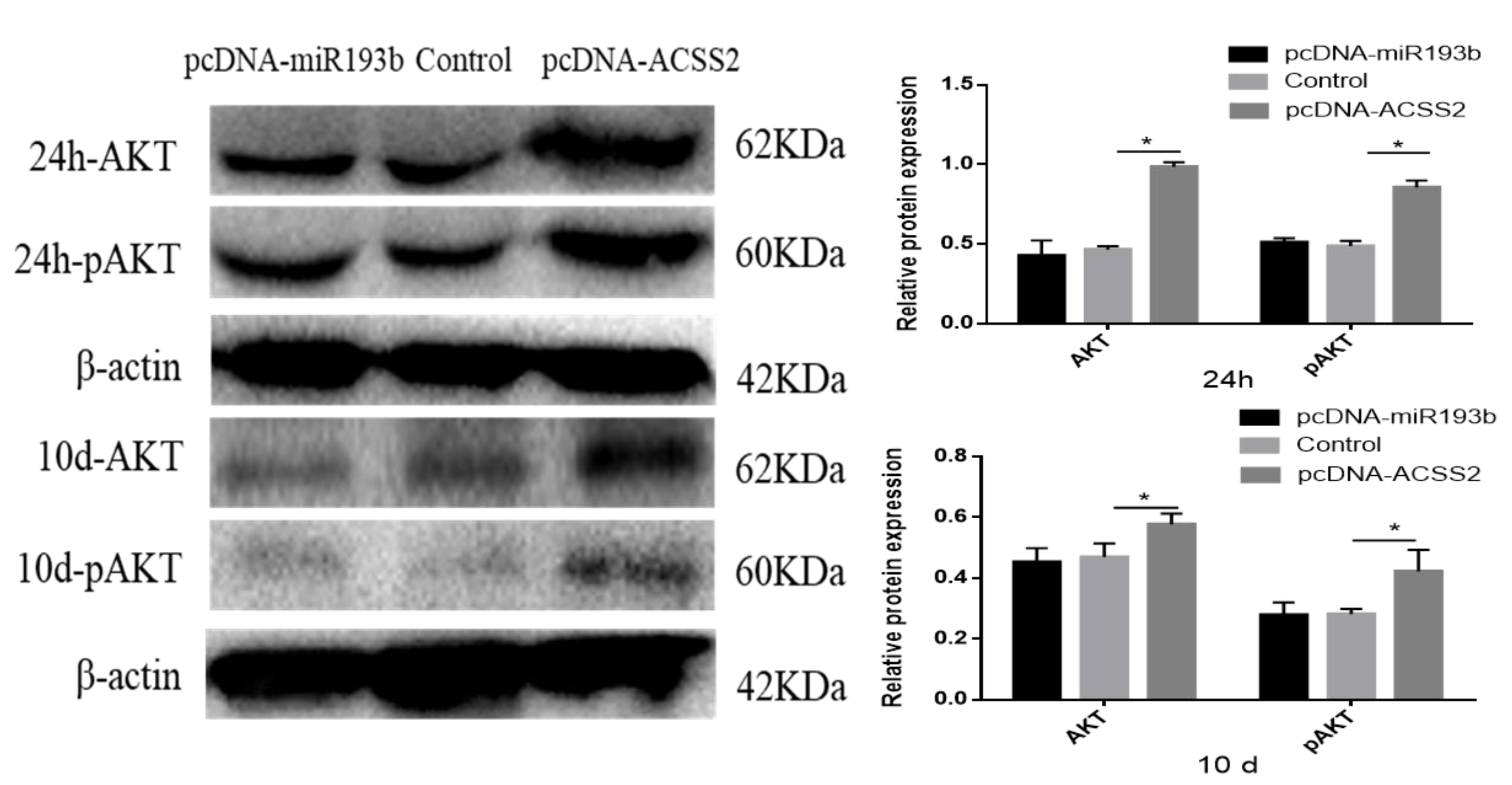 Animals 10 01265 g007