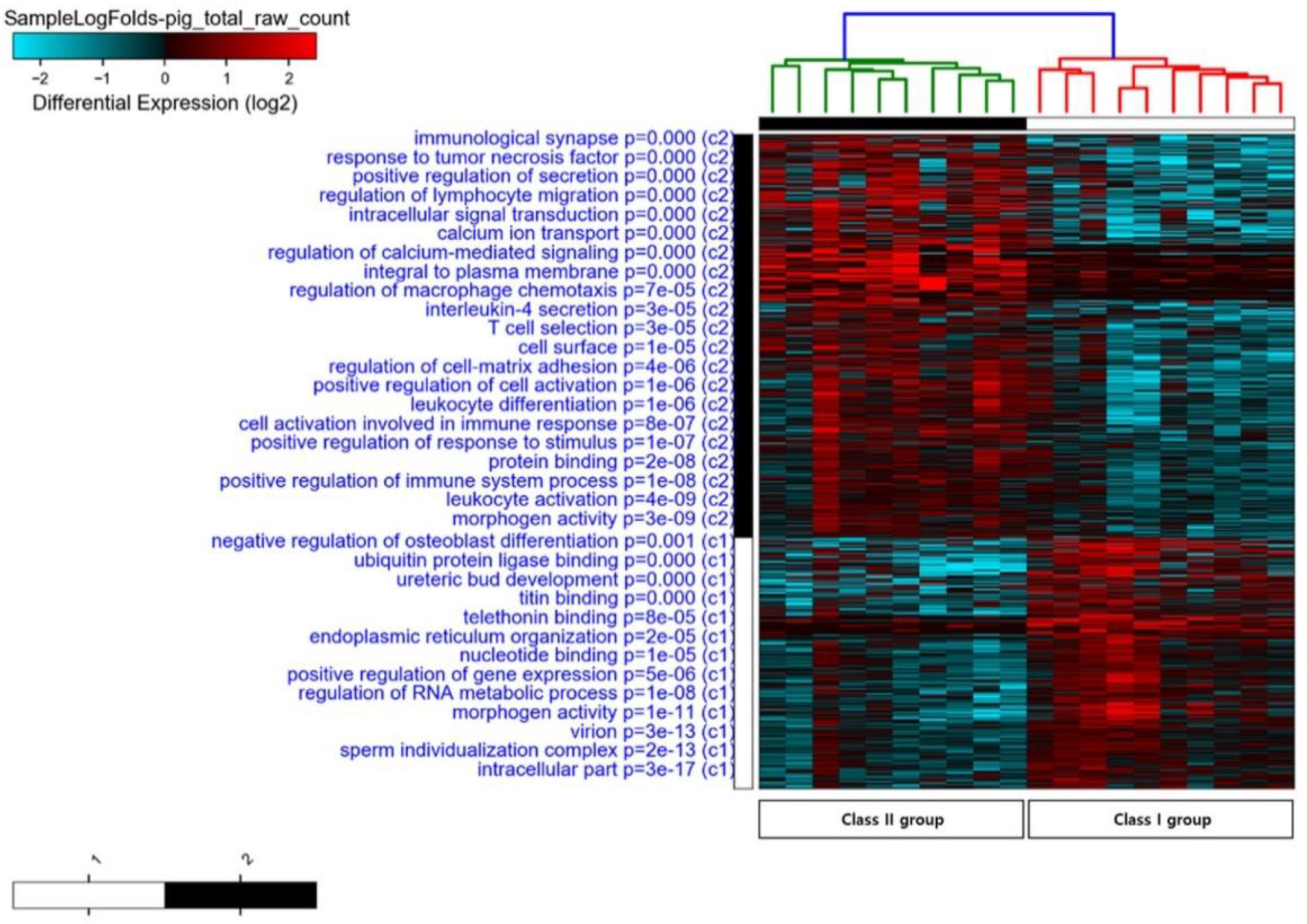 Animals 10 01279 g002