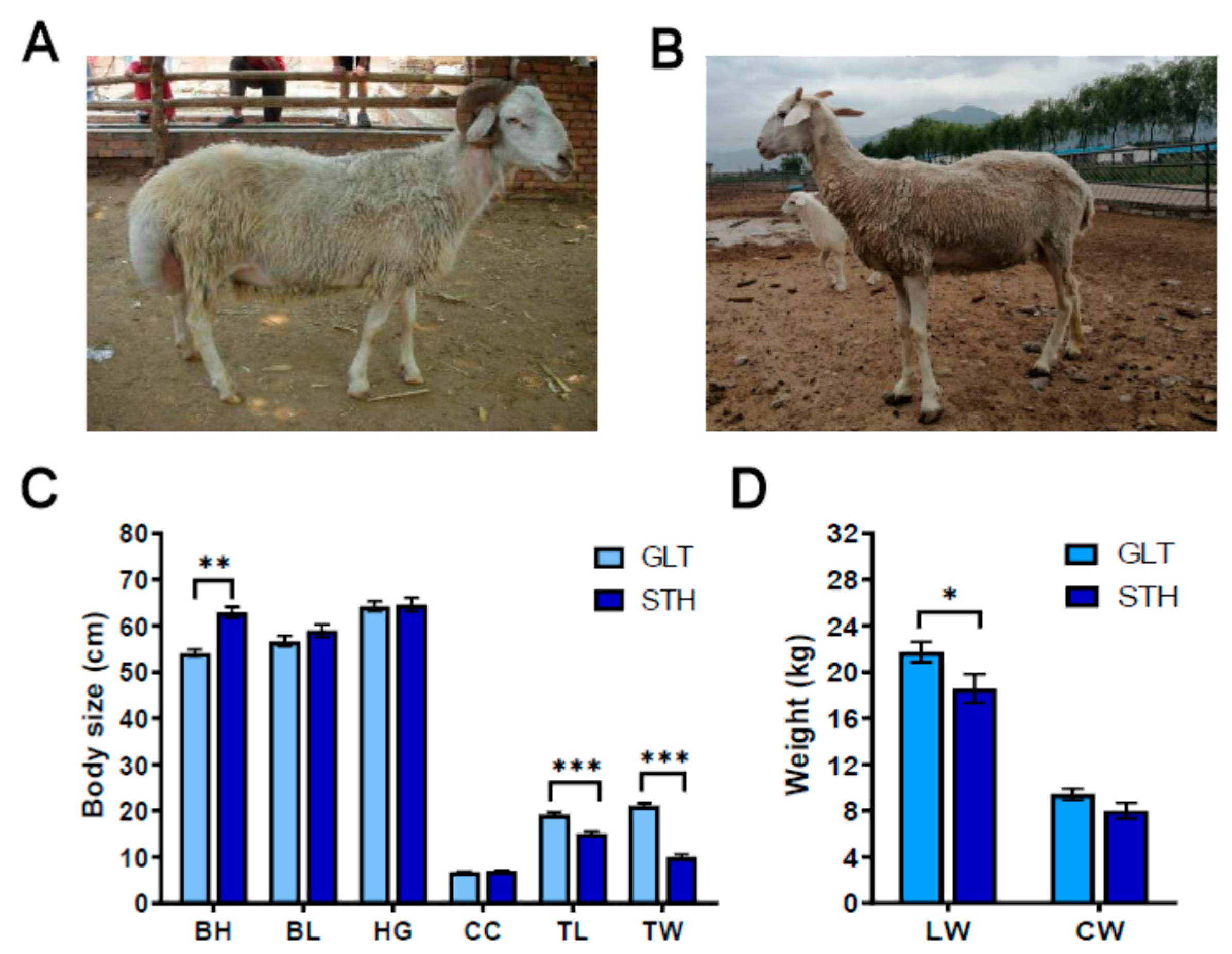 Animals 10 01317 g001