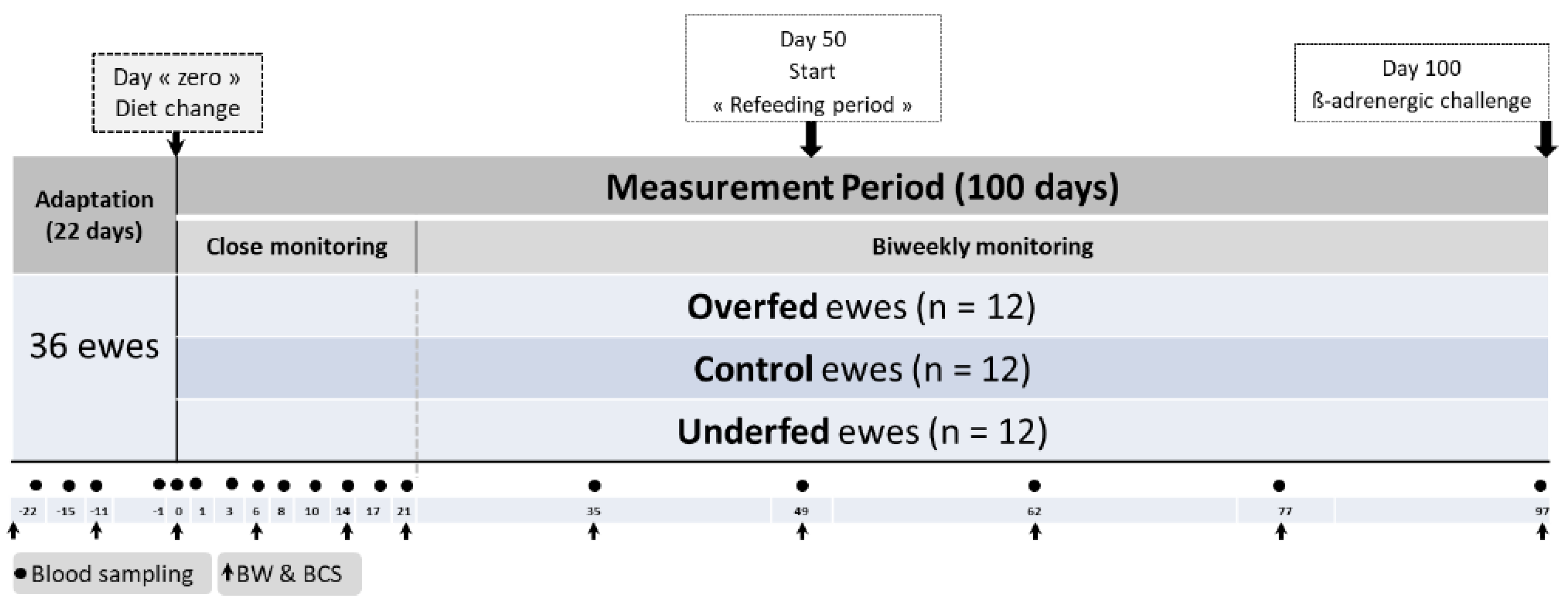 Animals 10 01320 g001