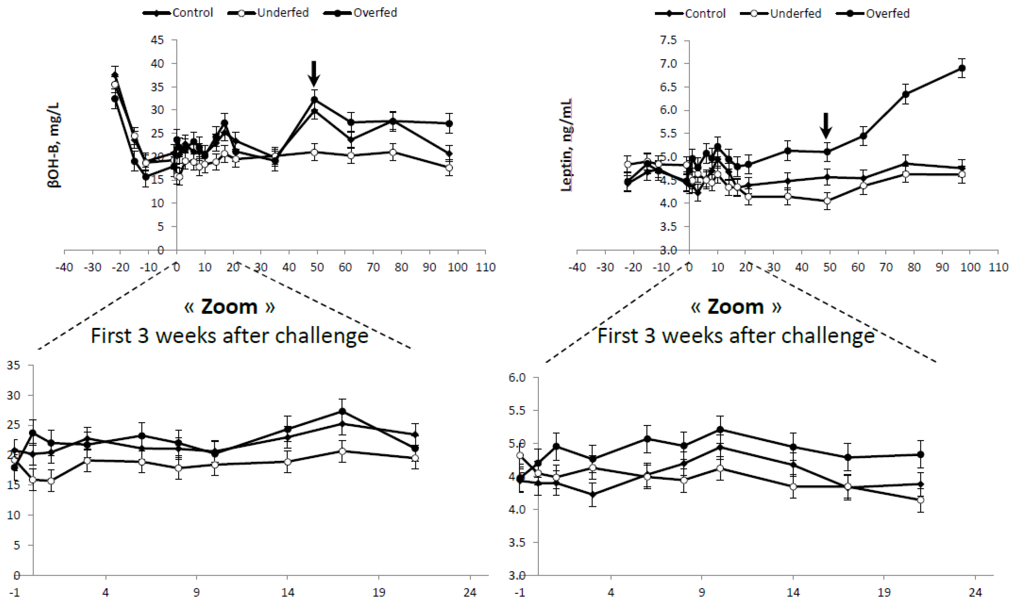 Animals 10 01320 g004