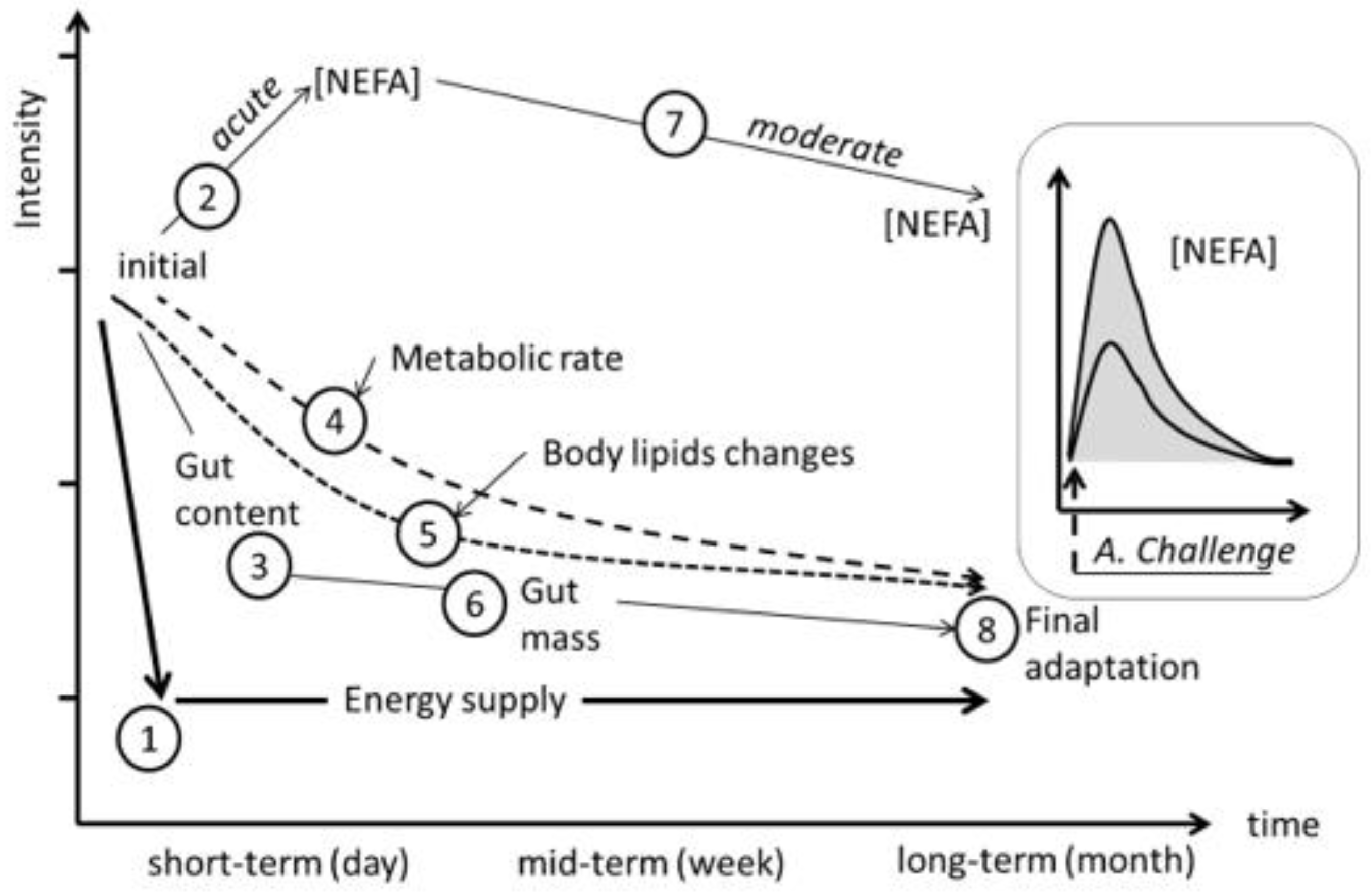 Animals 10 01320 g007