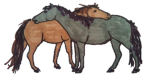 Animals 10 01334 i002 Animals 10 01334 i002