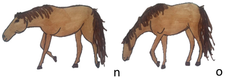 Animals 10 01334 i005 Animals 10 01334 i005