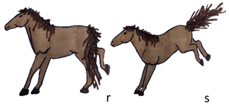 Animals 10 01334 i010 Animals 10 01334 i010