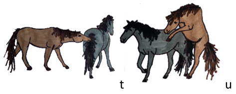 Animals 10 01334 i012 Animals 10 01334 i012