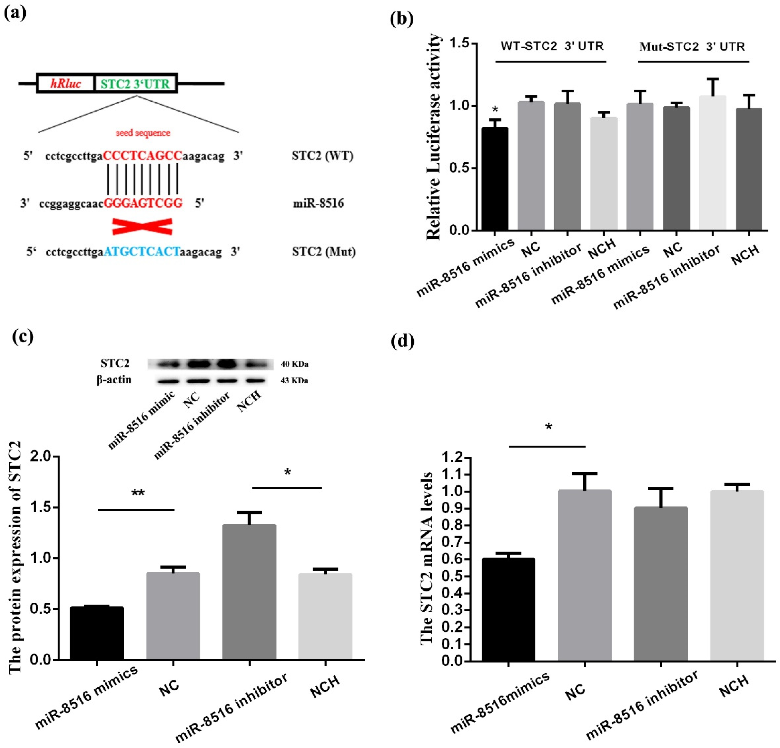 Animals 10 01347 g001