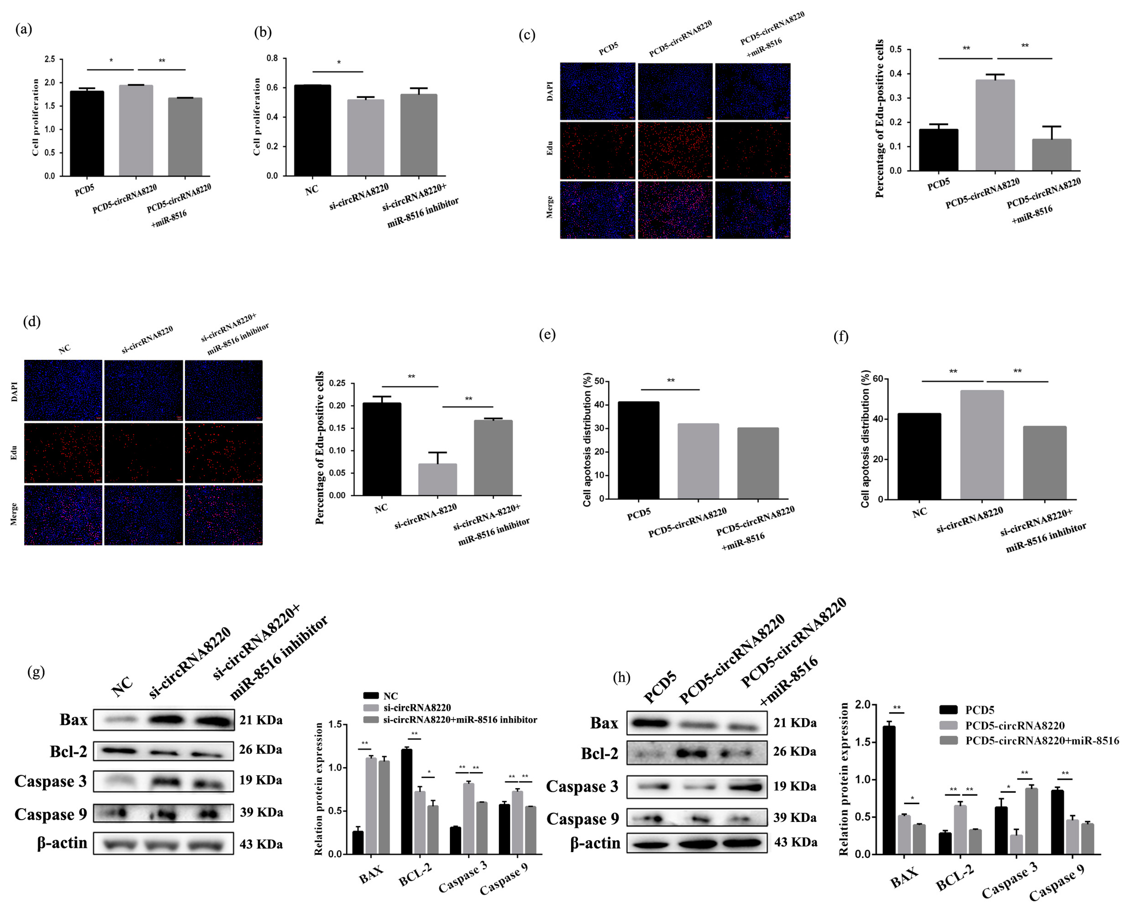 Animals 10 01347 g005