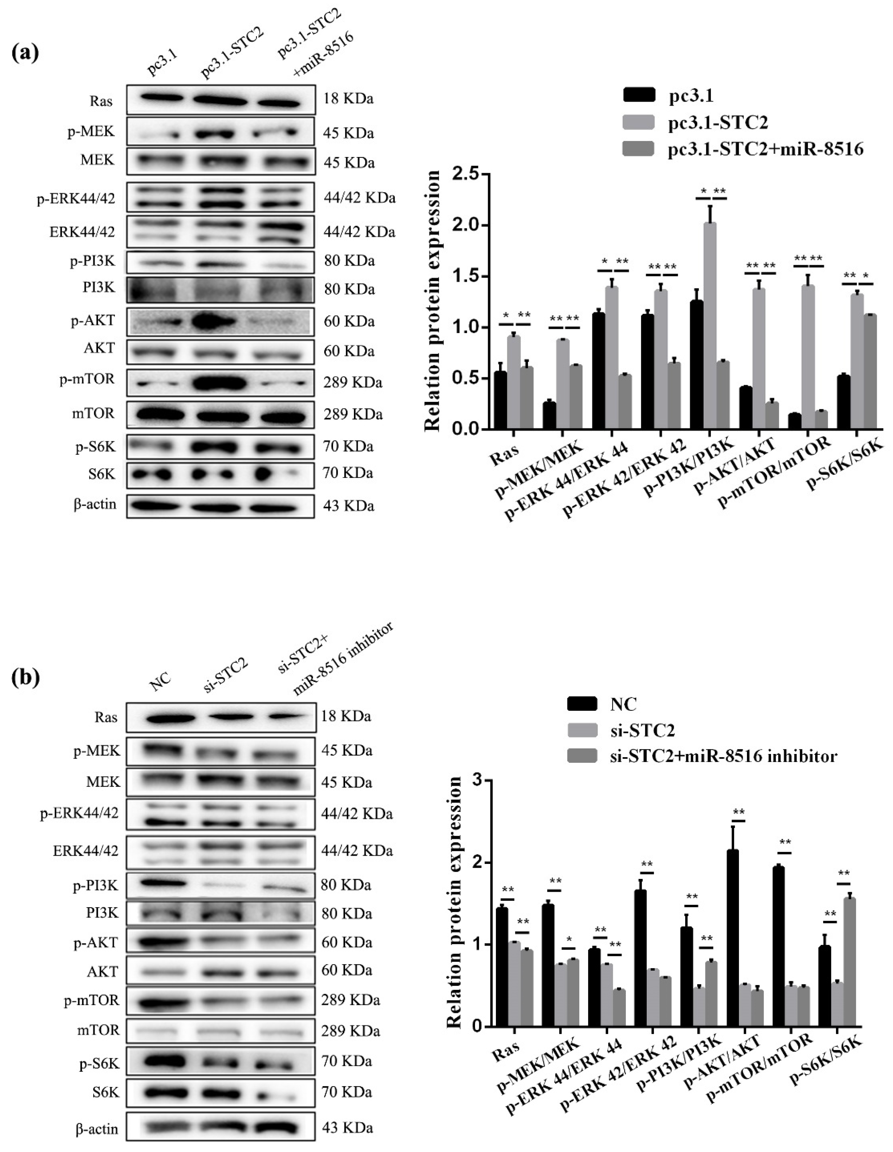 Animals 10 01347 g008