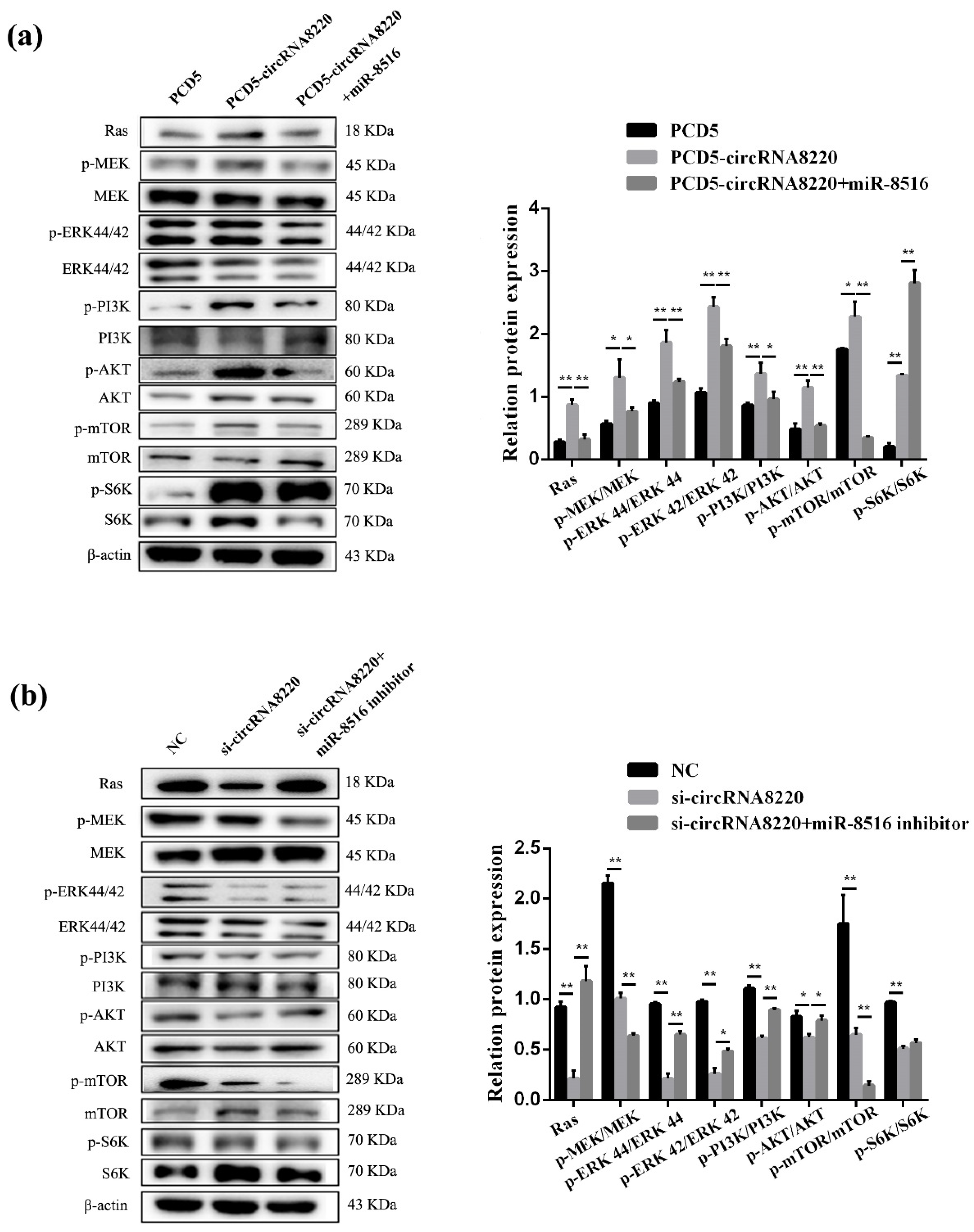 Animals 10 01347 g009