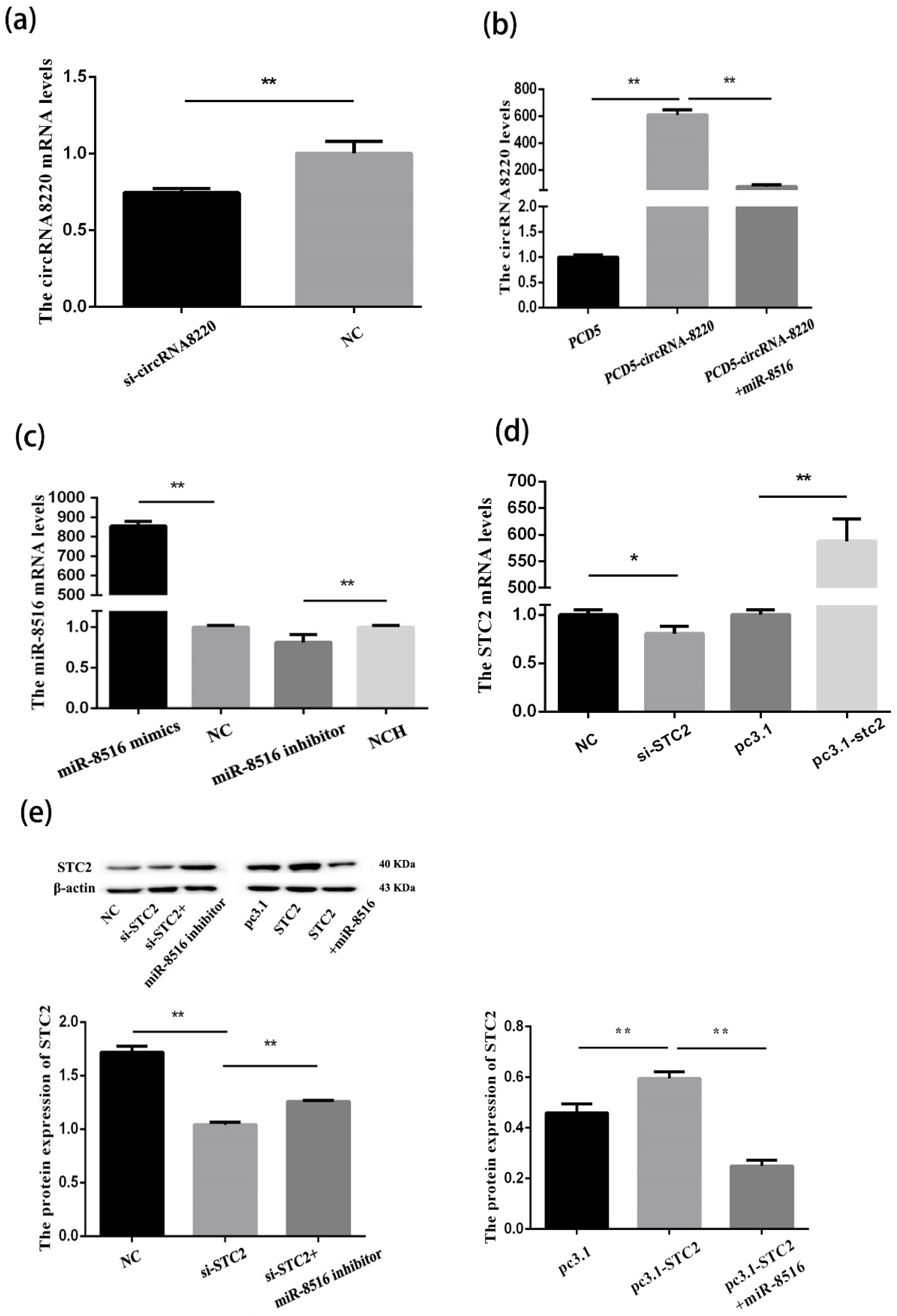 Animals 10 01347 g0a1