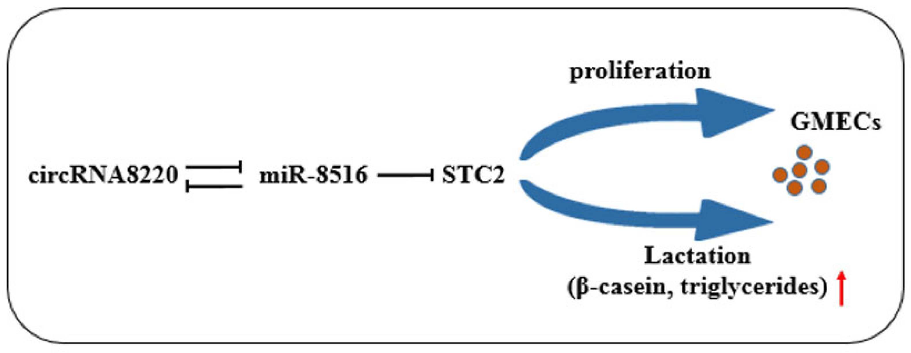 Animals 10 01347 g0a2