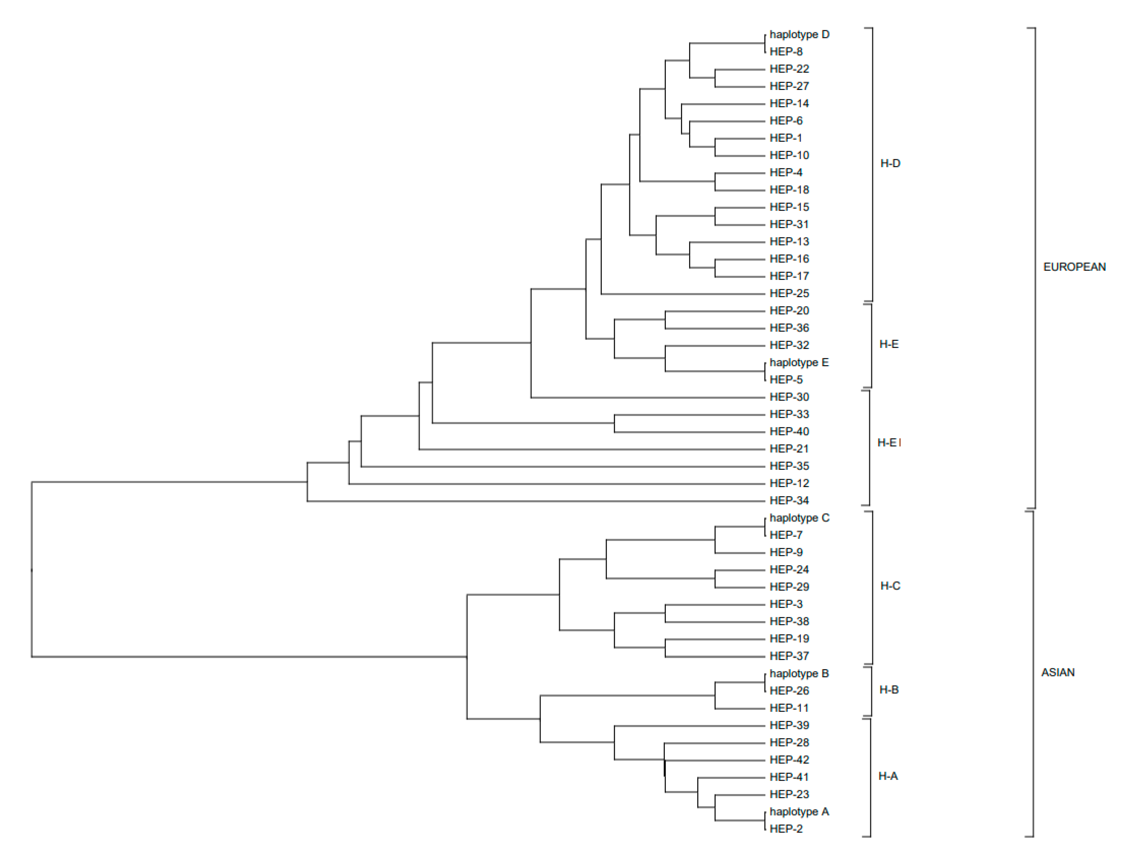 Animals 10 01365 g002