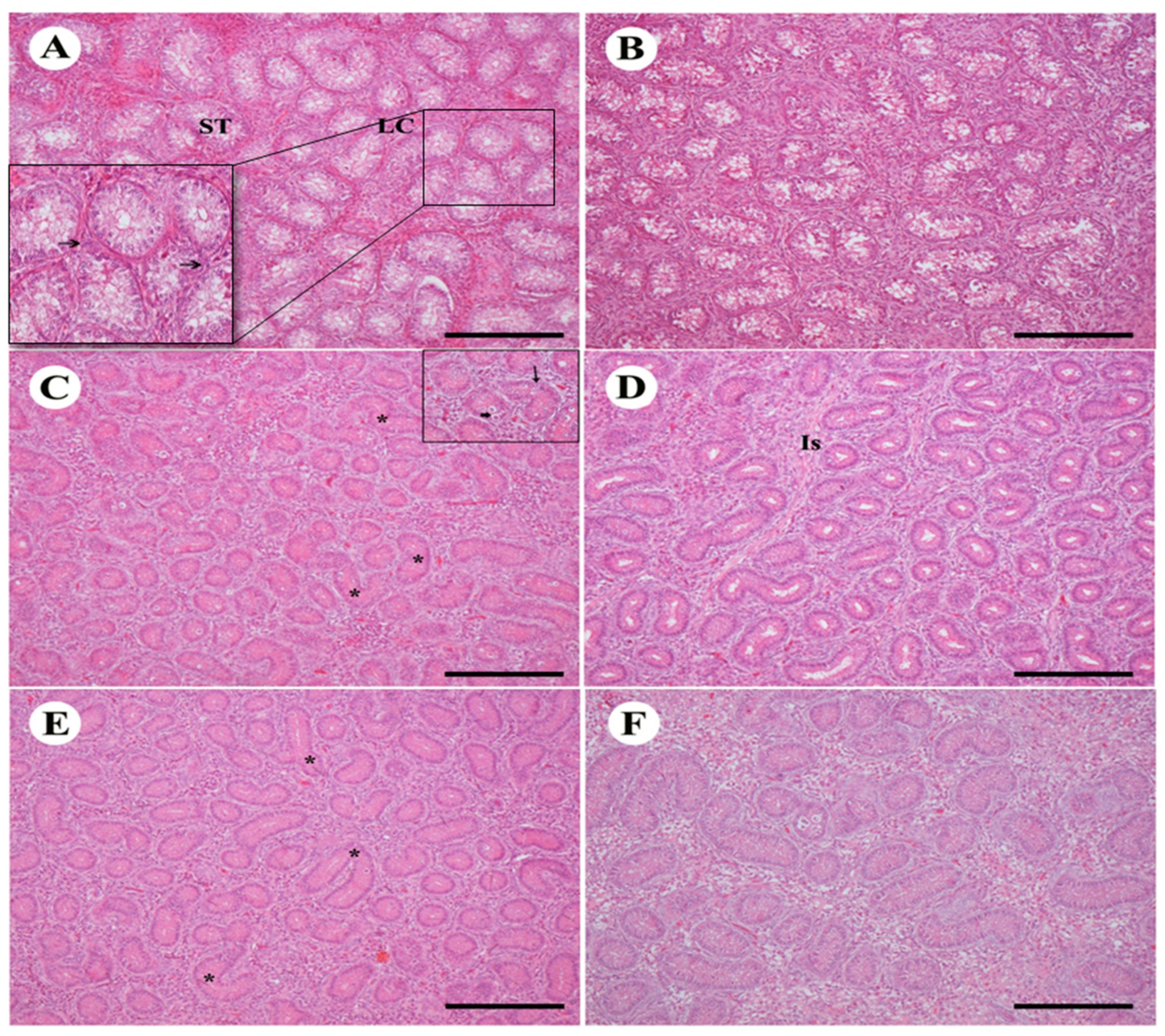 Animals 10 01367 g002 Animals 10 01367 g002