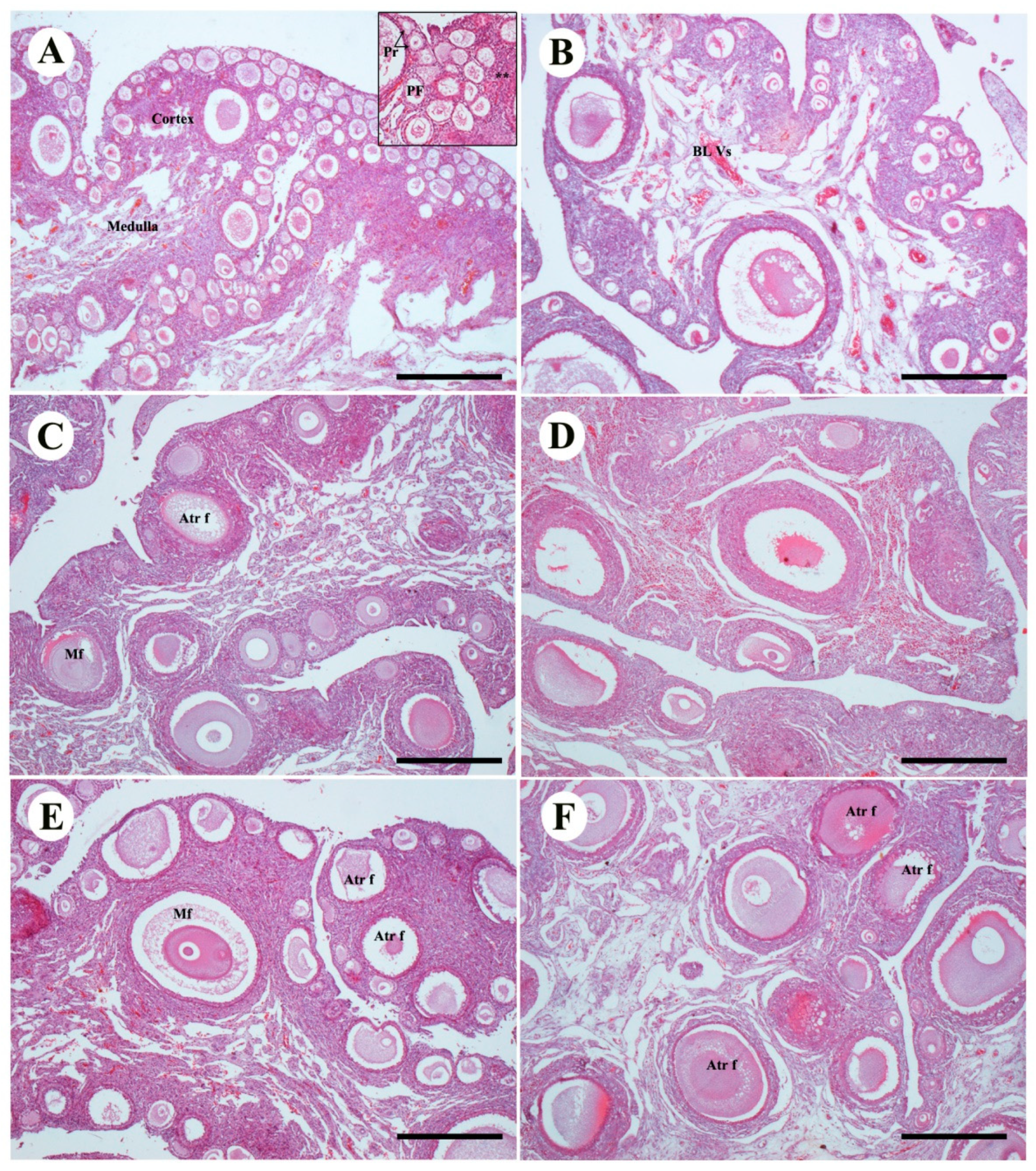 Animals 10 01367 g003 Animals 10 01367 g003