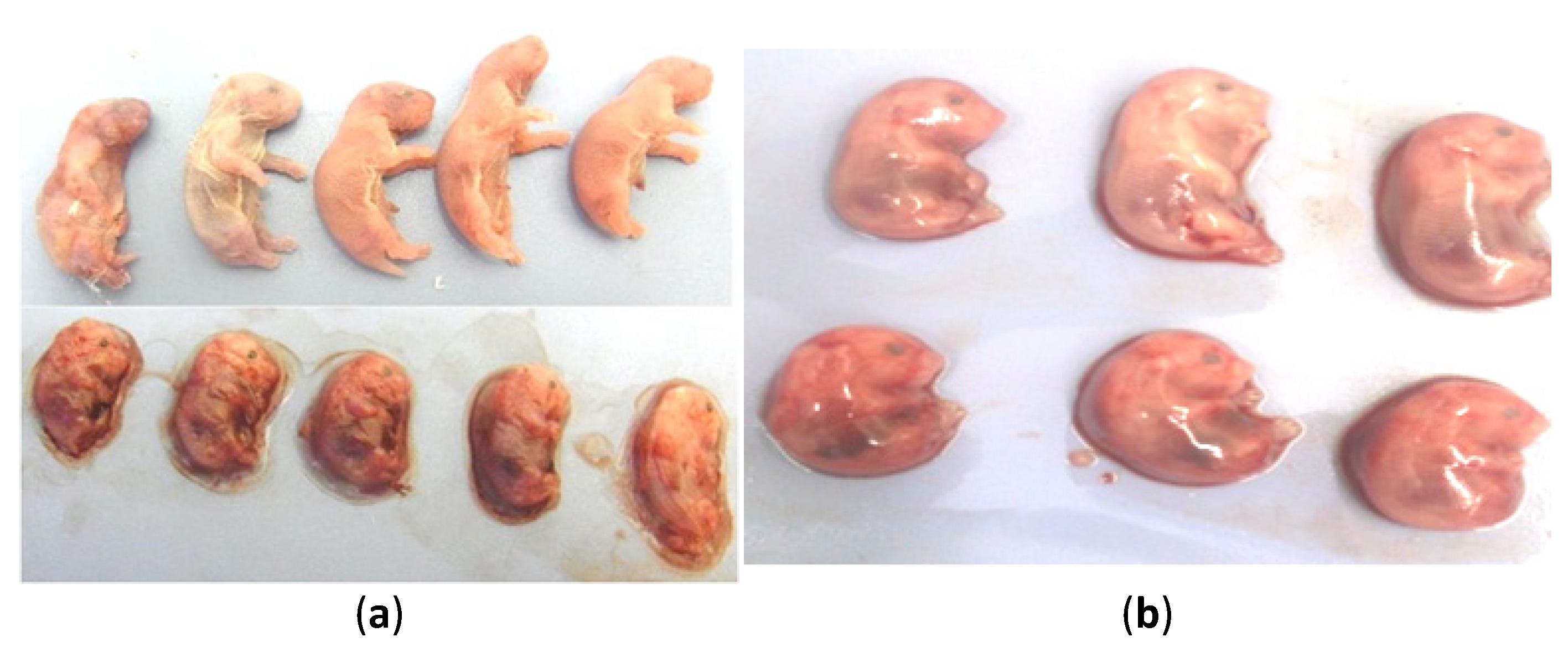 Animals 10 01369 g003 Animals 10 01369 g003