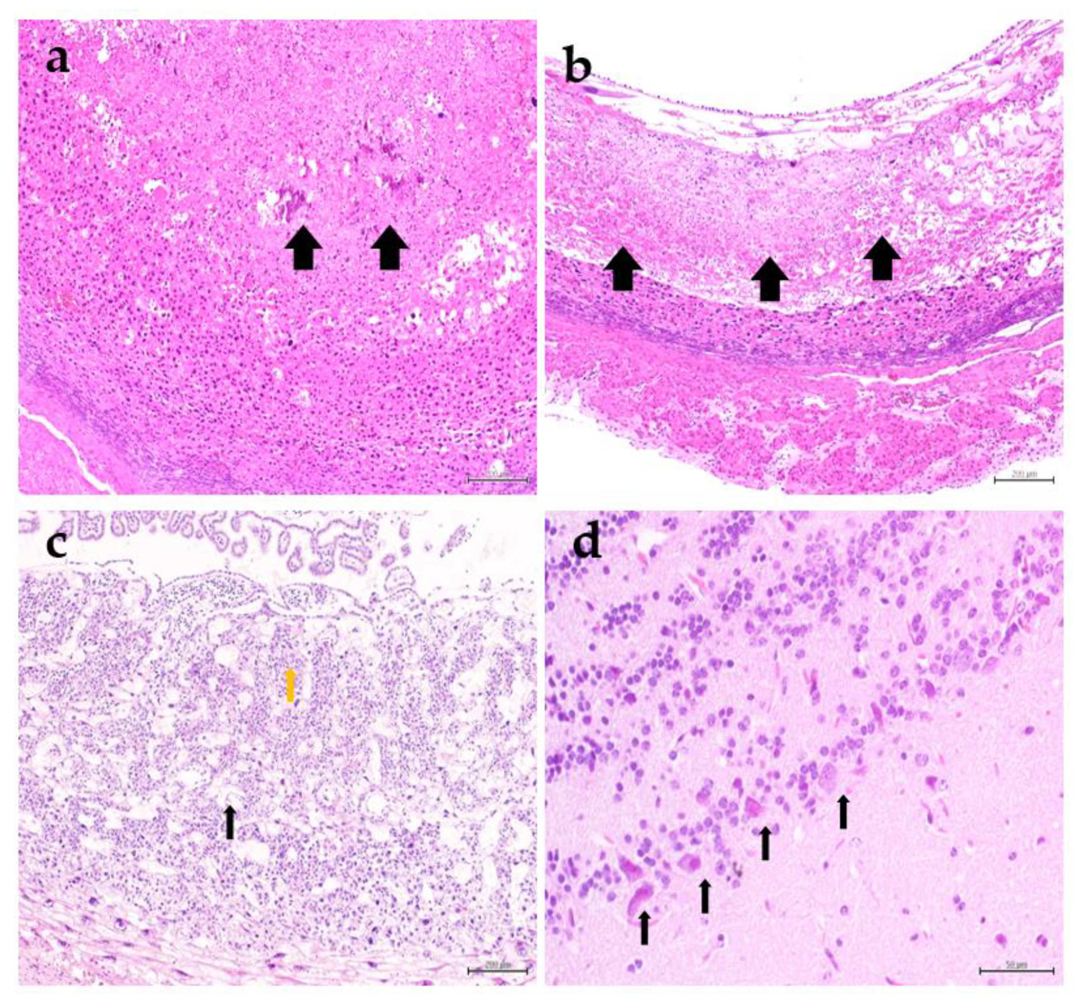 Animals 10 01369 g006 Animals 10 01369 g006