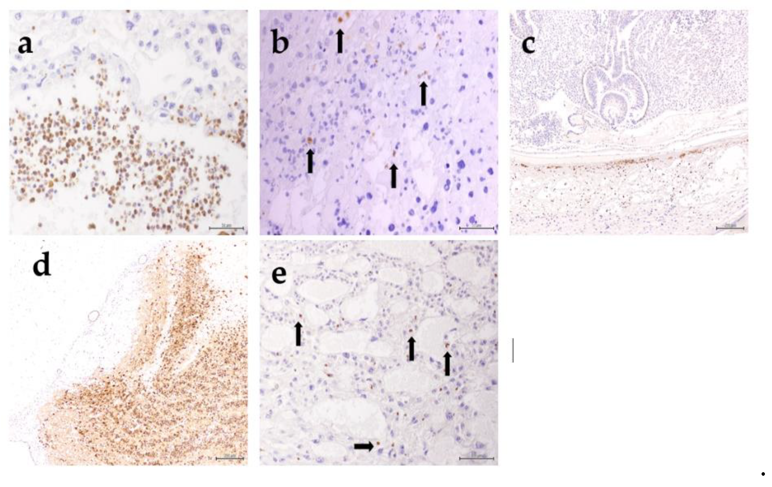 Animals 10 01369 g007 Animals 10 01369 g007