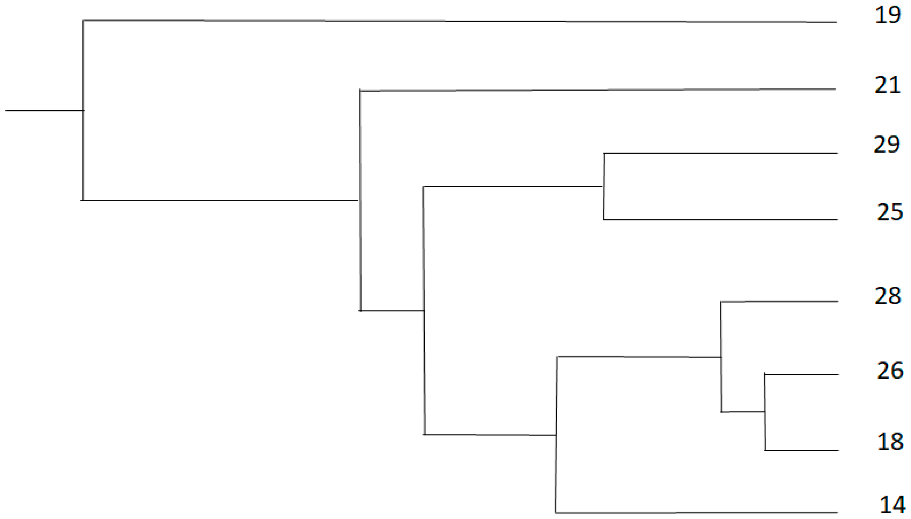 Animals 10 01373 g001